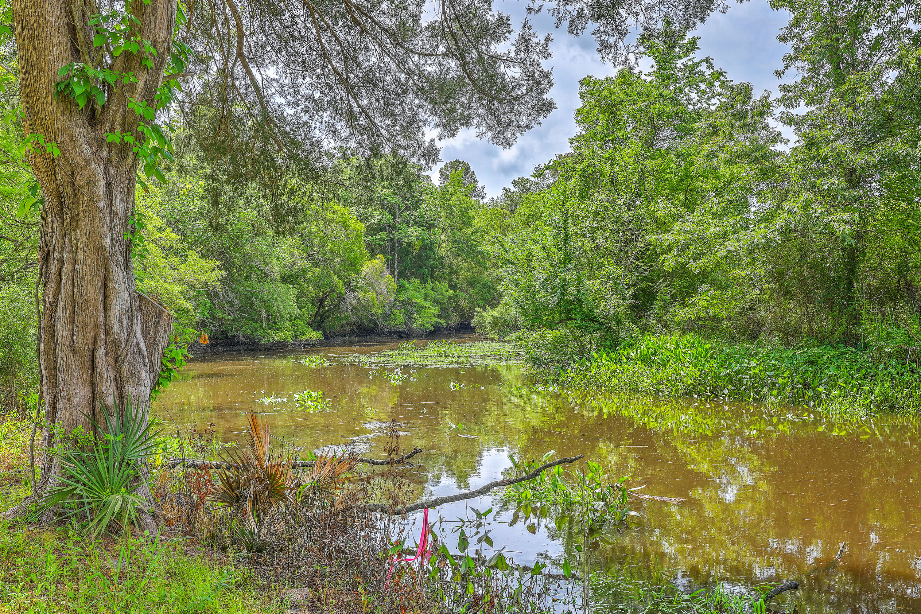 Summerville, South Carolina, 29485, United States, 5 Bedrooms Bedrooms, ,6 BathroomsBathrooms,Residential,For Sale,1977326