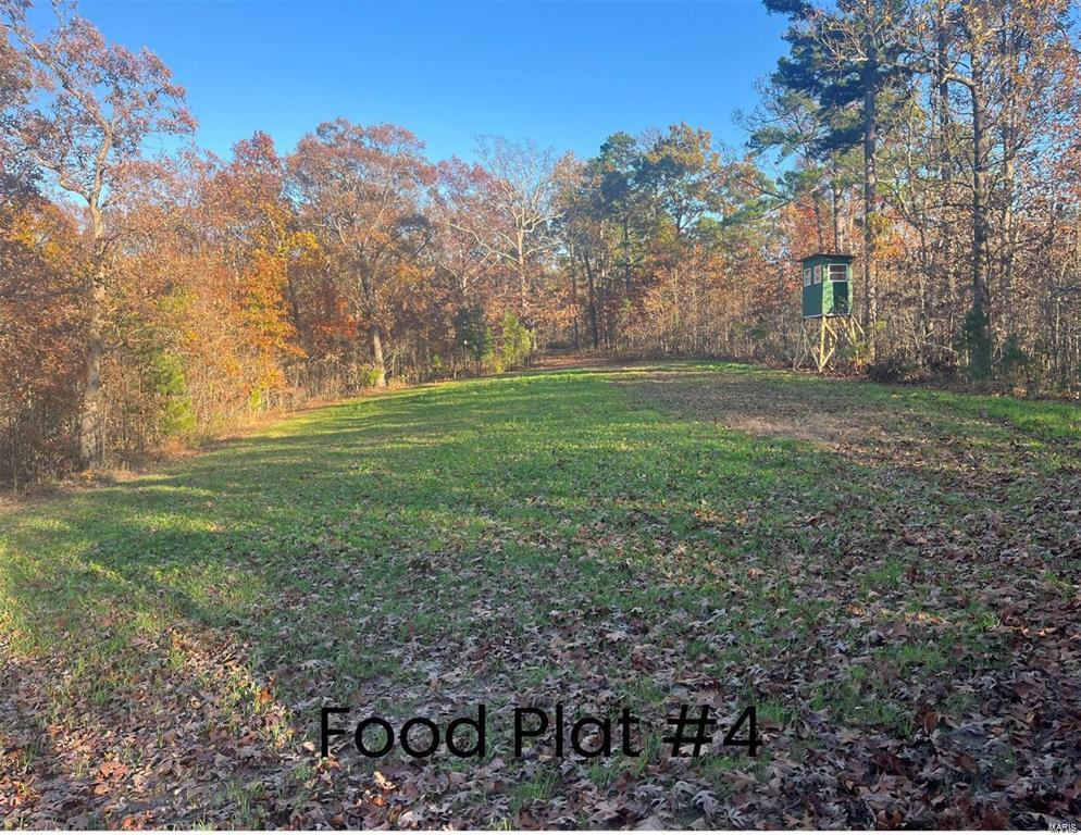 Potosi, Missouri, 65441, United States, ,Land,For Sale,1793756