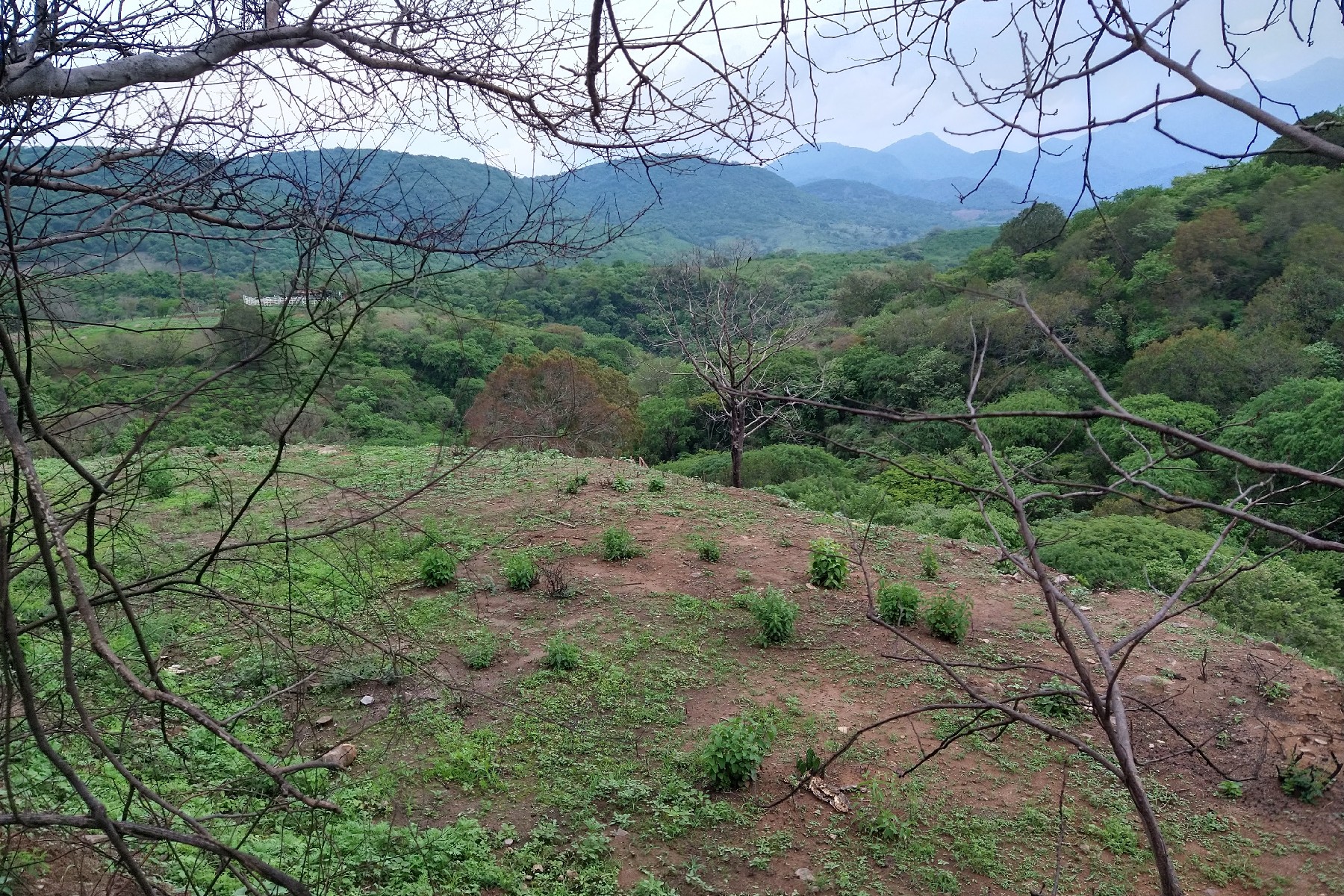  Lote Villa La Loma. El Realito. Ameca, Jalisco - 物件實景