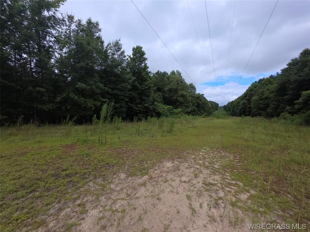 Daleville, Alabama, 36322, United States, ,Land,For Sale,1980243