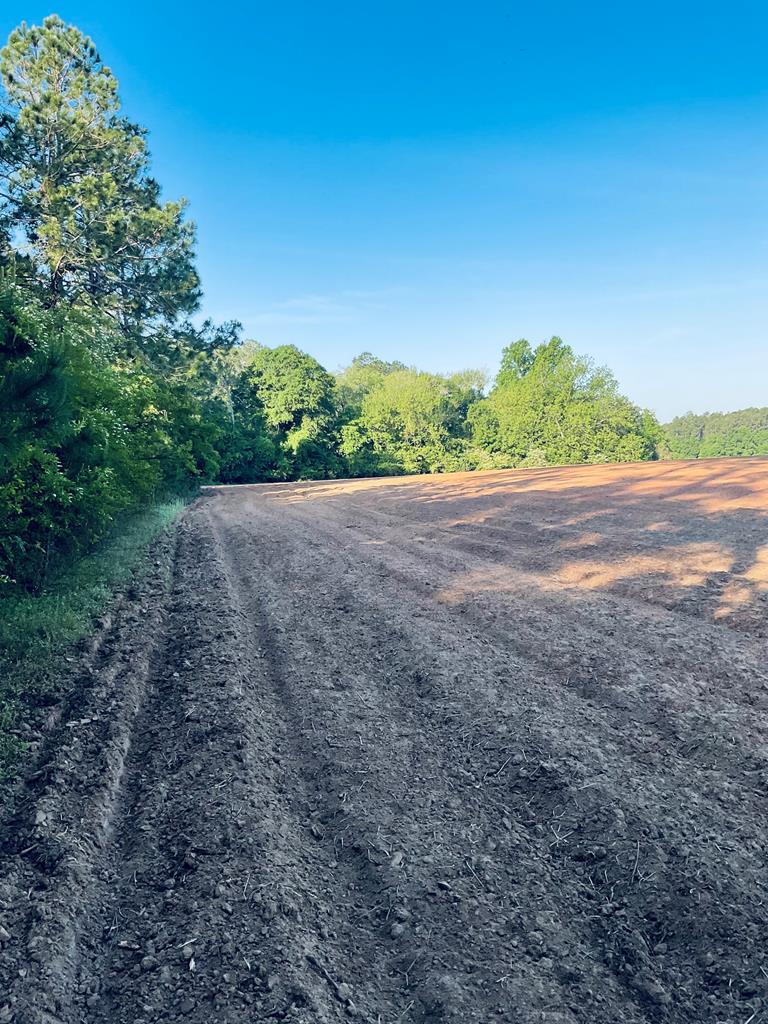 Cordele, Georgia, 31015, United States, ,Residential,For Sale,1982733