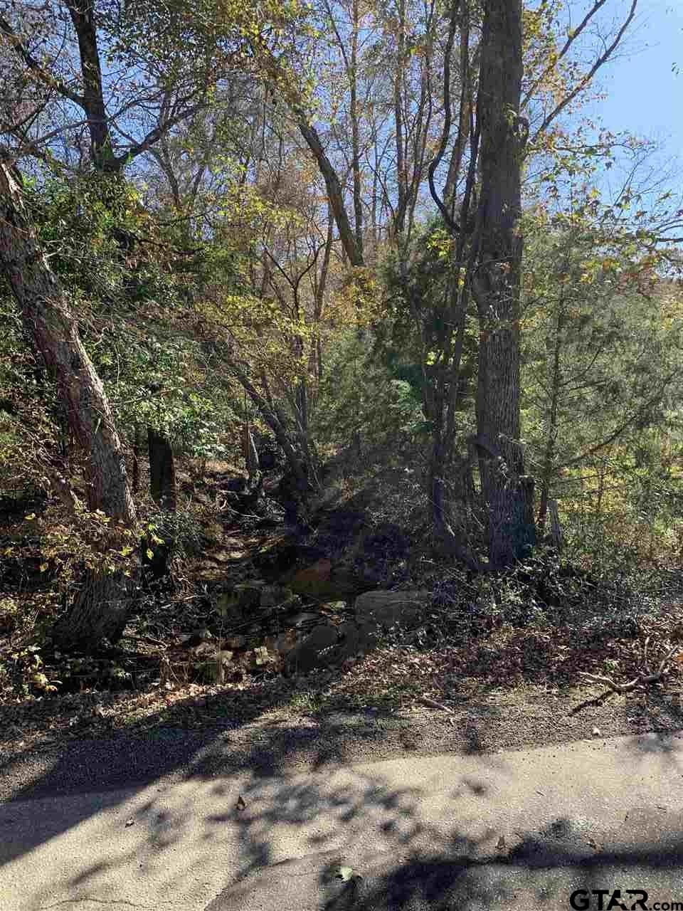 TBD CR 472 & I20, Lindale, Texas, 75771, United States, ,Land,For Sale,TBD CR 472 & I20,1673371