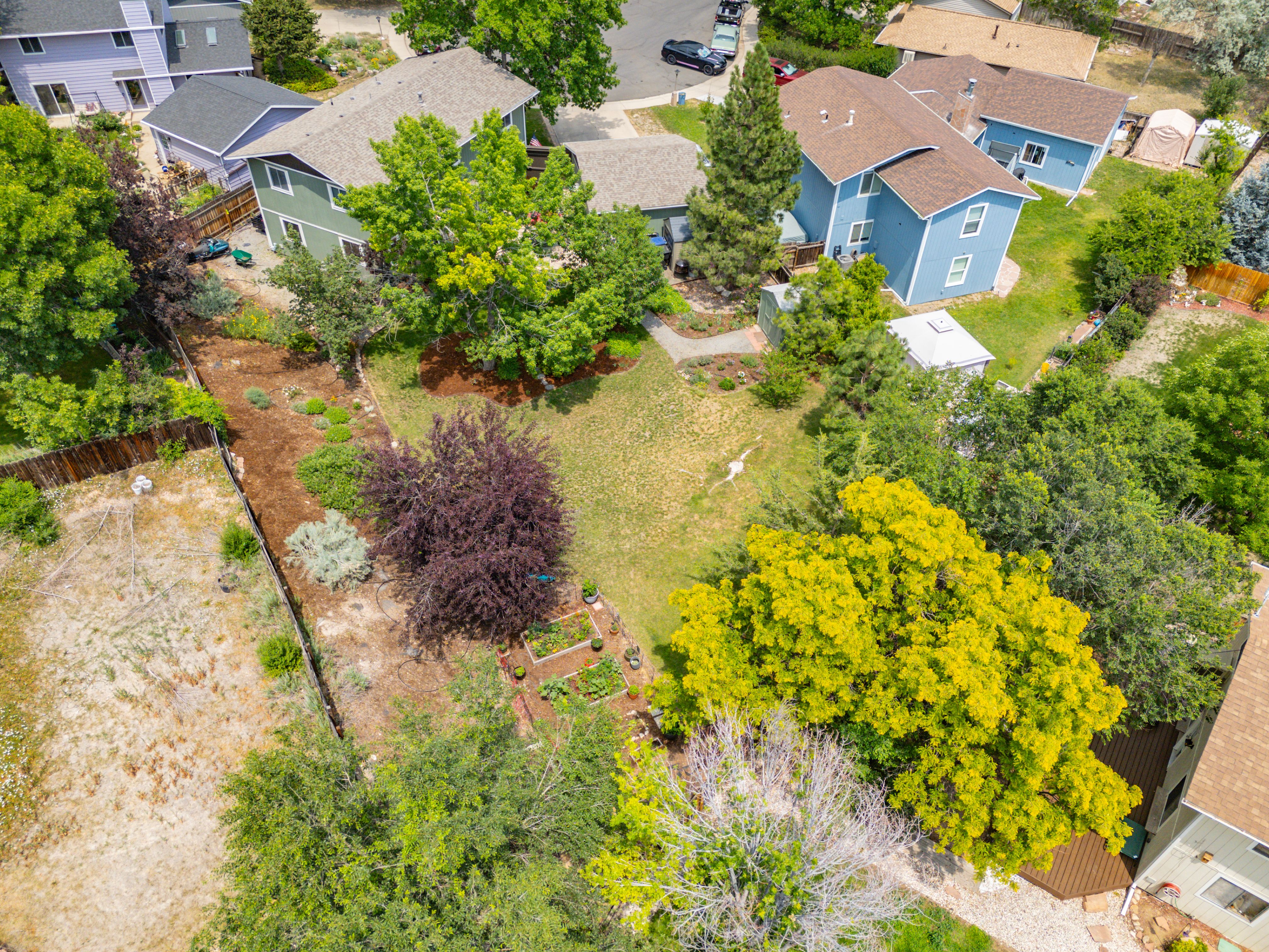  701 Drift Place, Longmont, CO 80504 - 物件實景