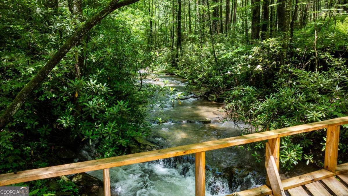 Ellijay, Georgia, 30540, United States, 5 Bedrooms Bedrooms, ,5 BathroomsBathrooms,Residential,For Sale,1868154