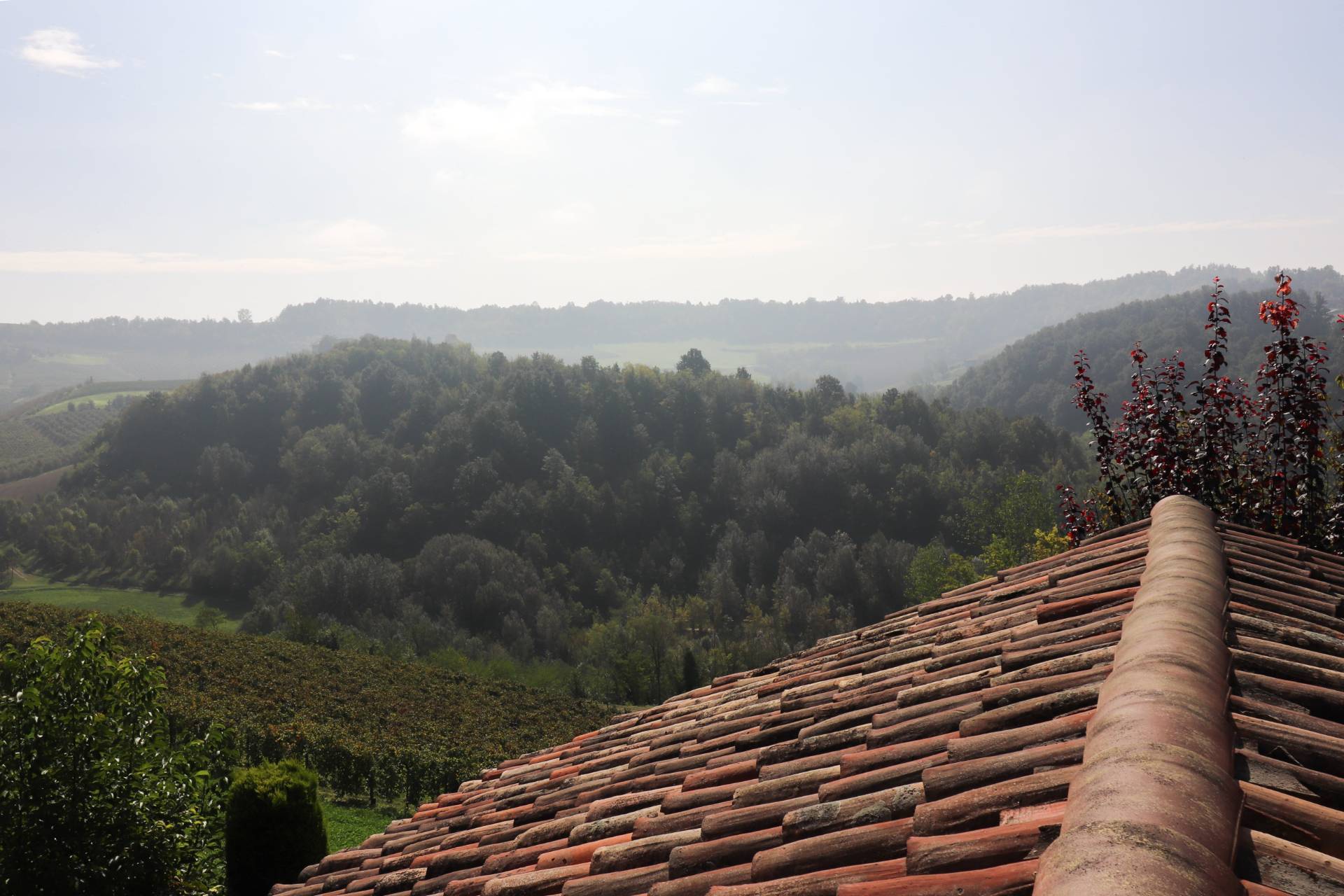 Localit? riviera, Monforte d'Alba, Cuneo, 12065, IT, 3 Bedrooms Bedrooms, ,3 BathroomsBathrooms,Residential,For Sale,Localit? riviera,1639521