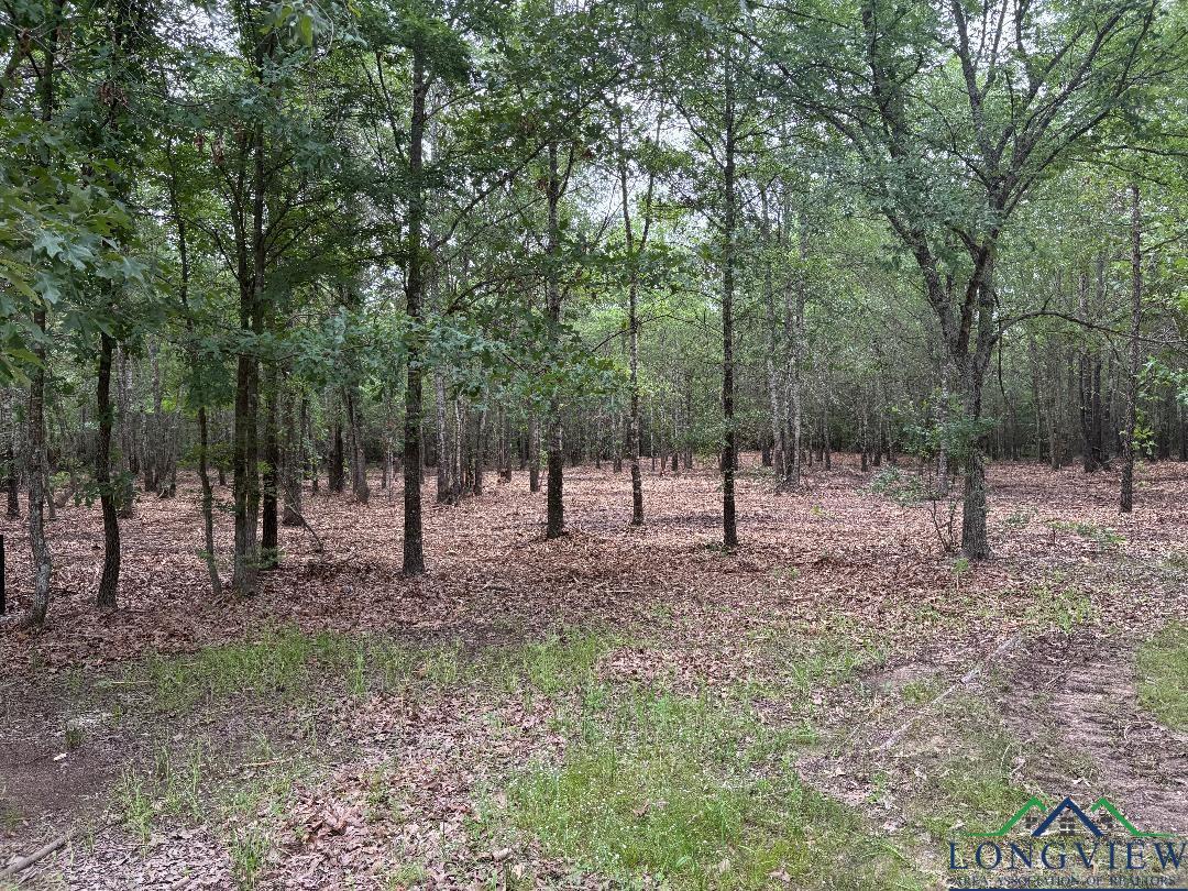 Bogata, Texas, 75417, United States, 1 Bedroom Bedrooms, ,1 BathroomBathrooms,Residential,For Sale,1712686