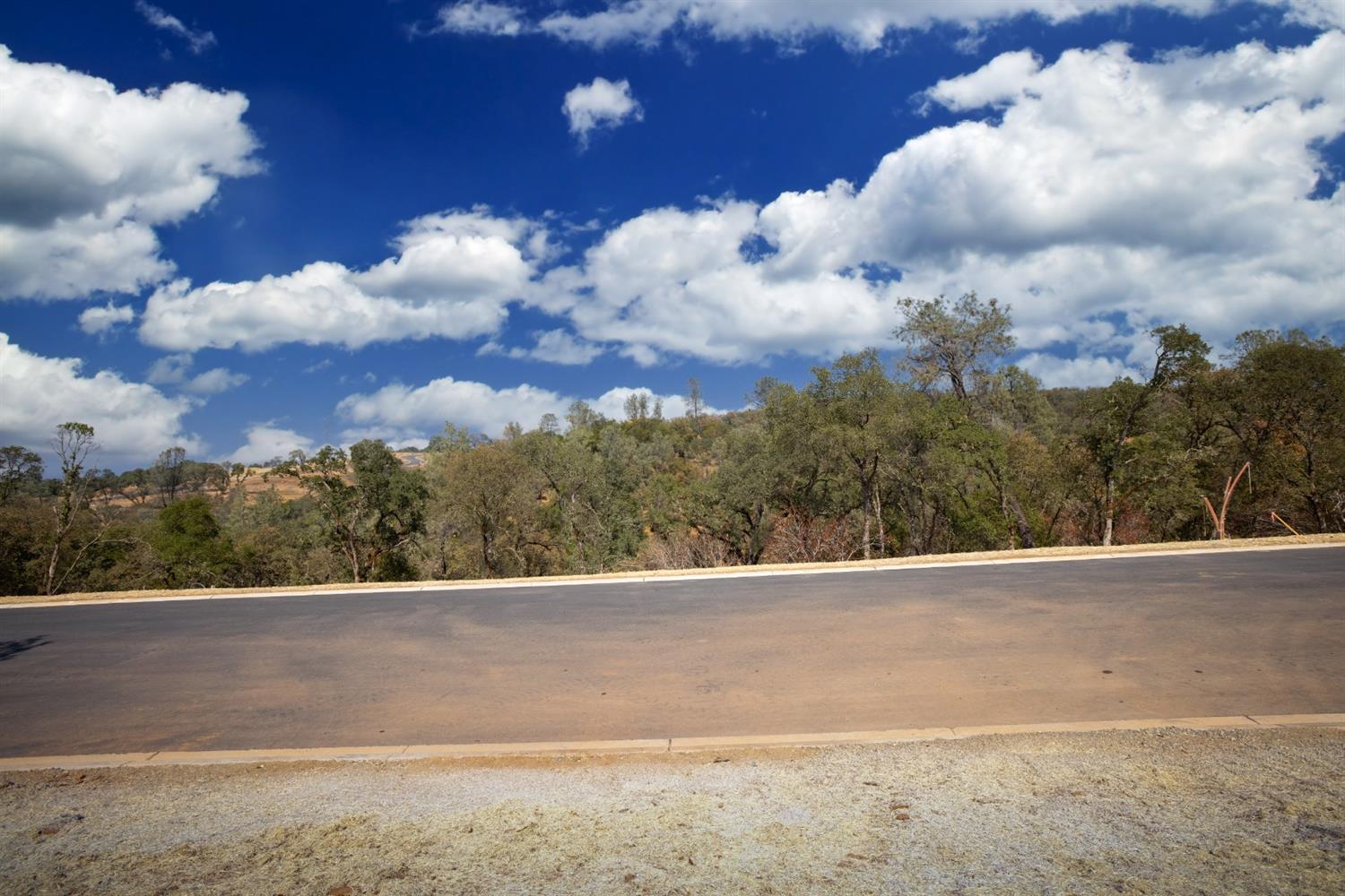 4135 Raphael Drive, El Dorado Hills, California, 95762, United States, ,Land,For Sale,4135 Raphael Drive,1642699