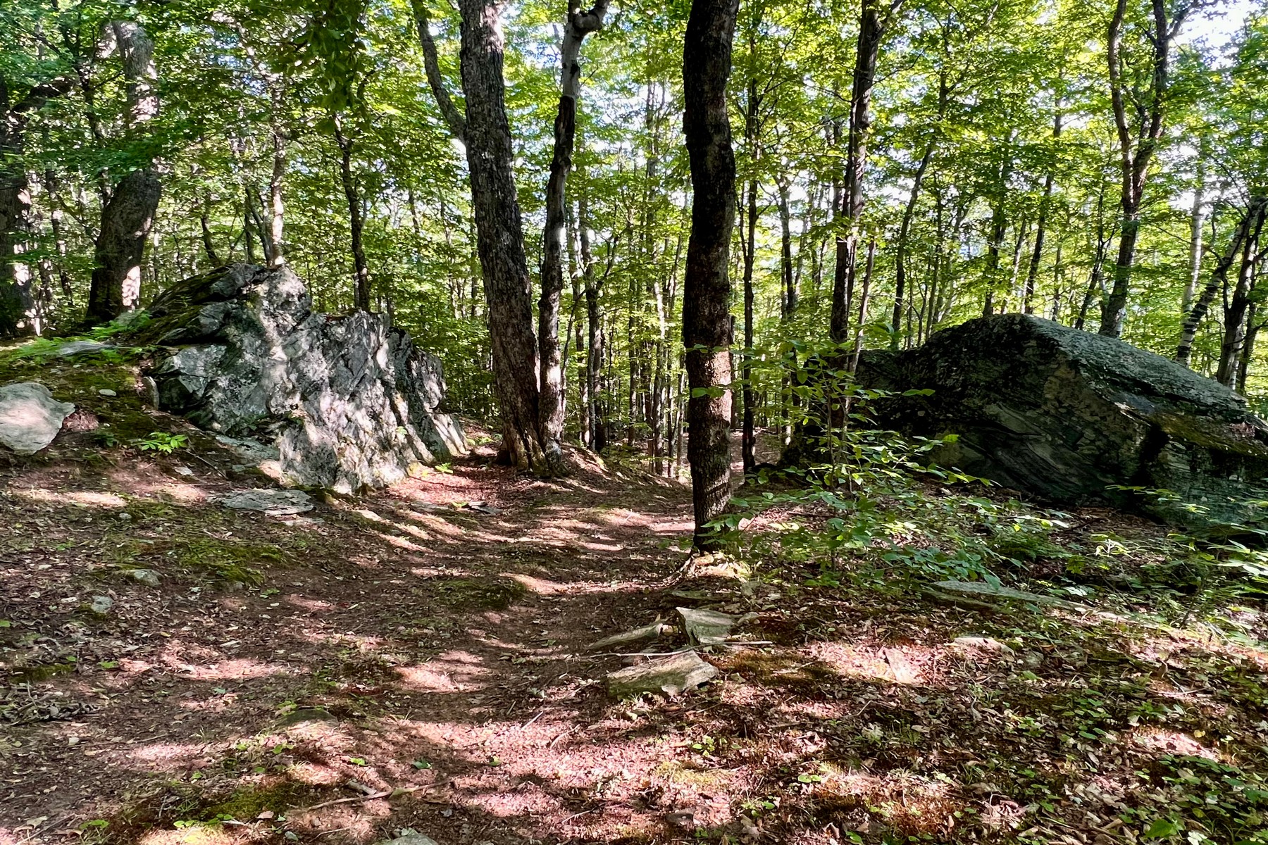  Escape to Moosewalk Lane. - 物件實景