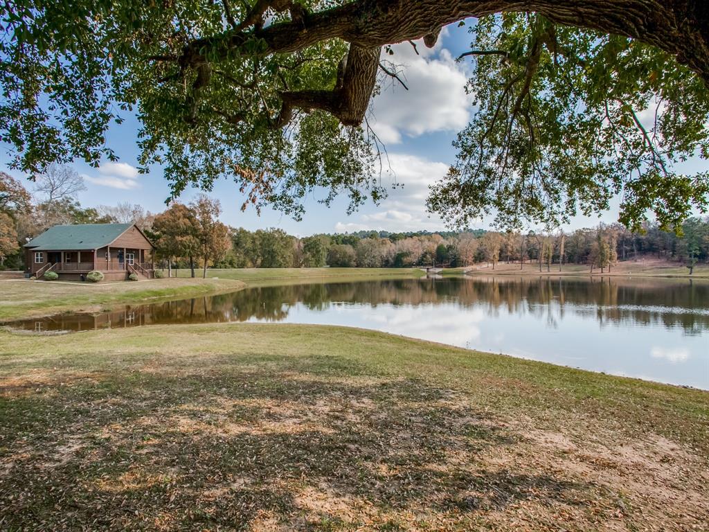 1370 Vzcr 4907, Ben Wheeler, Texas, 75754, United States, 11 Bedrooms Bedrooms, ,14 BathroomsBathrooms,Land,For Sale,1370 Vzcr 4907,1663895