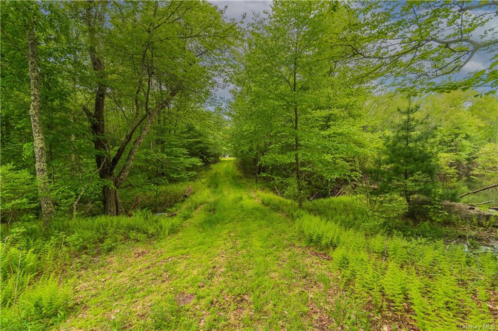 Monticello, New York, 12701, United States, ,Residential,For Sale,1980735