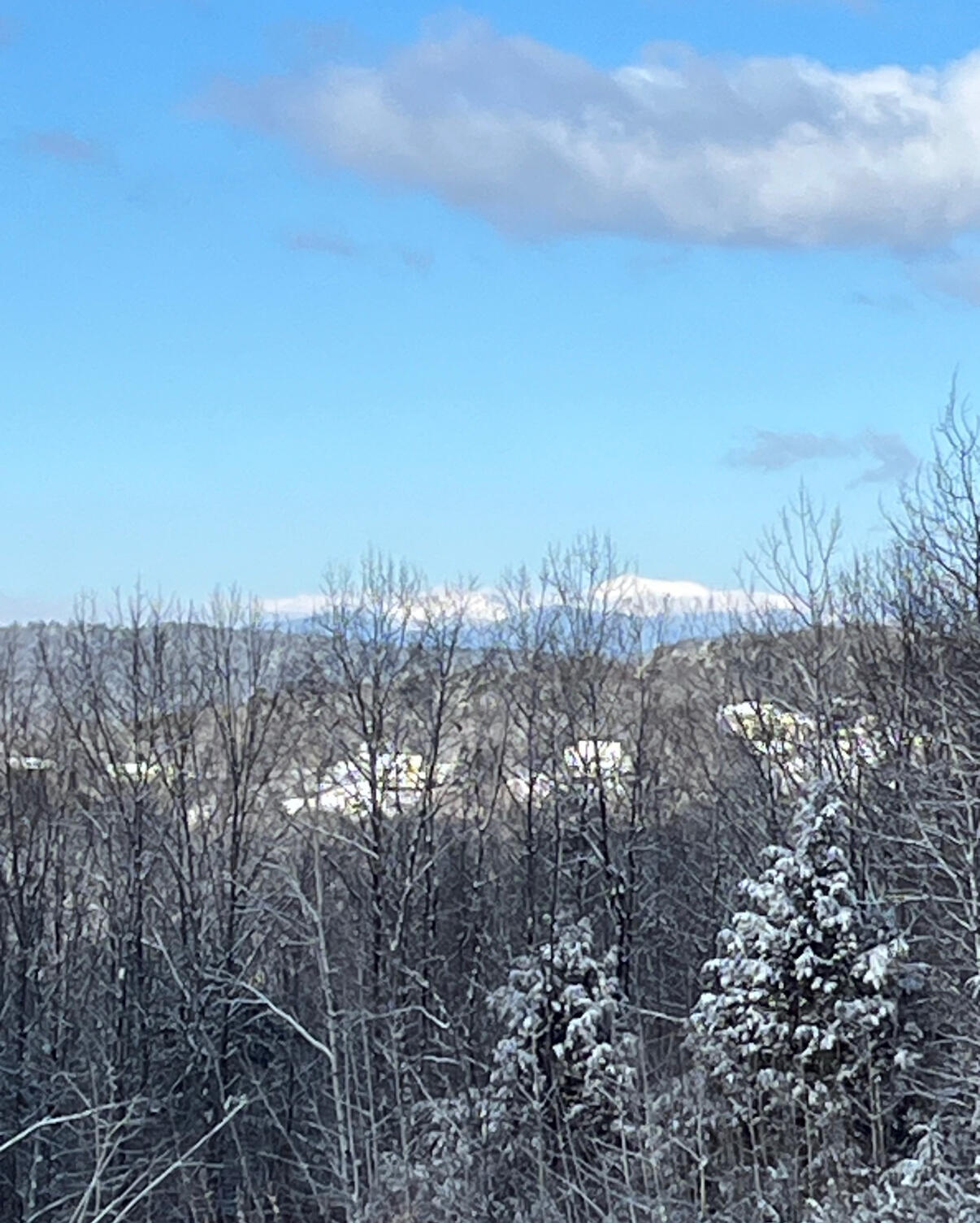 Harrison, Maine, 04040, United States, 3 Bedrooms Bedrooms, ,3 BathroomsBathrooms,Residential,For Sale,1991420