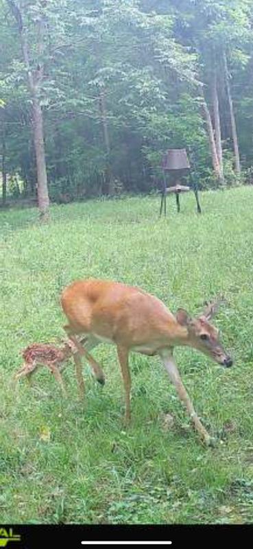 Rusk, Texas, 75785, United States, 1 Bedroom Bedrooms, ,3 BathroomsBathrooms,Residential,For Sale,1918158