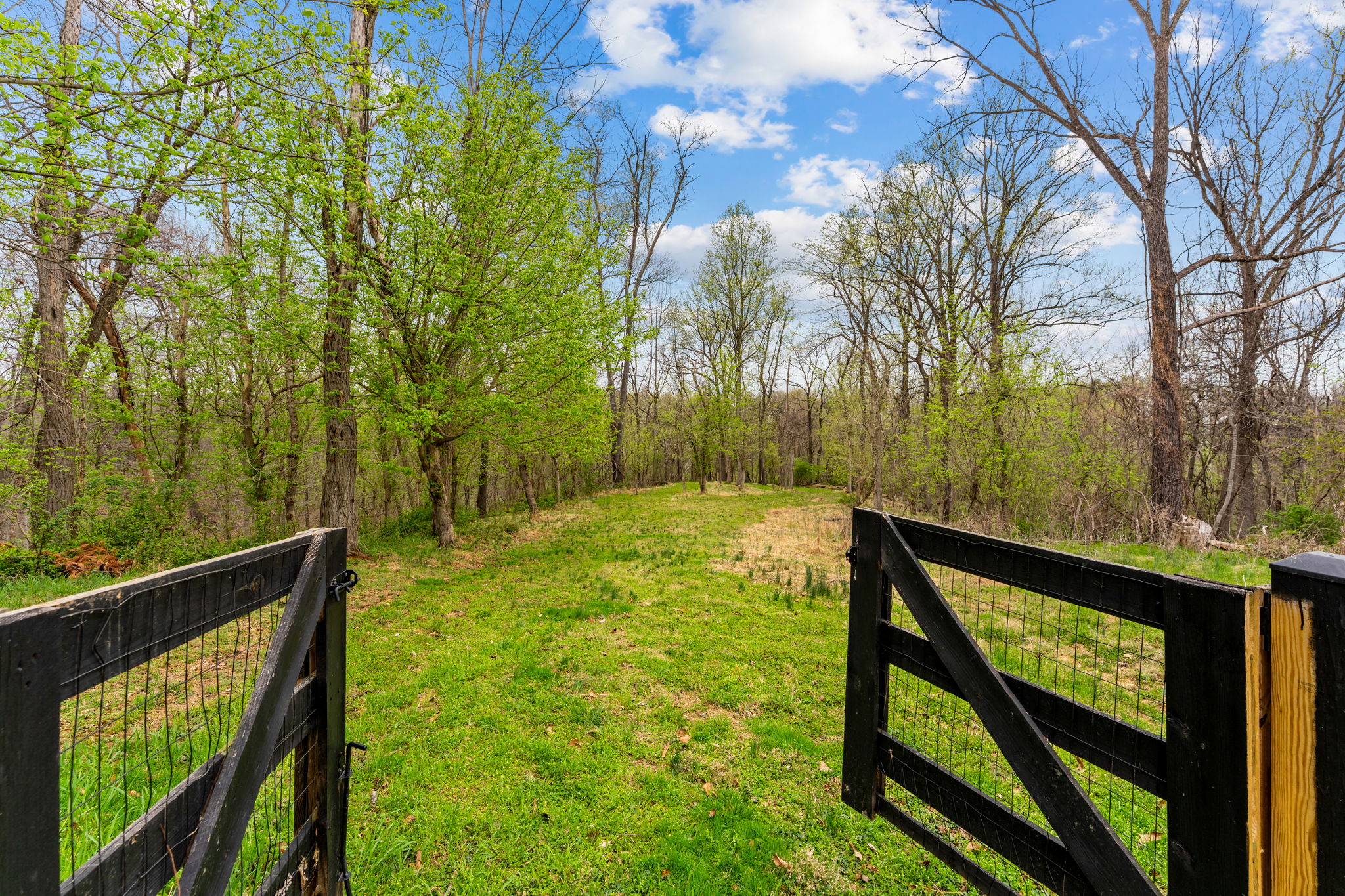  14039 Amys Meadow Court, Leesburg, VA, 20176 - 物件實景