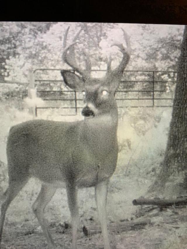 Big Rapids, Michigan, 49307, United States, 3 Bedrooms Bedrooms, ,2 BathroomsBathrooms,Residential,For Sale,1951282