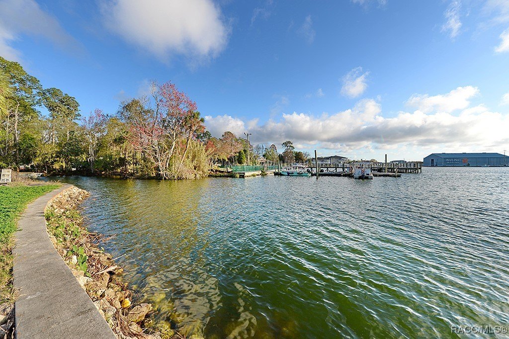 Crystal River, Florida, 34429, United States, ,Residential,For Sale,1977748