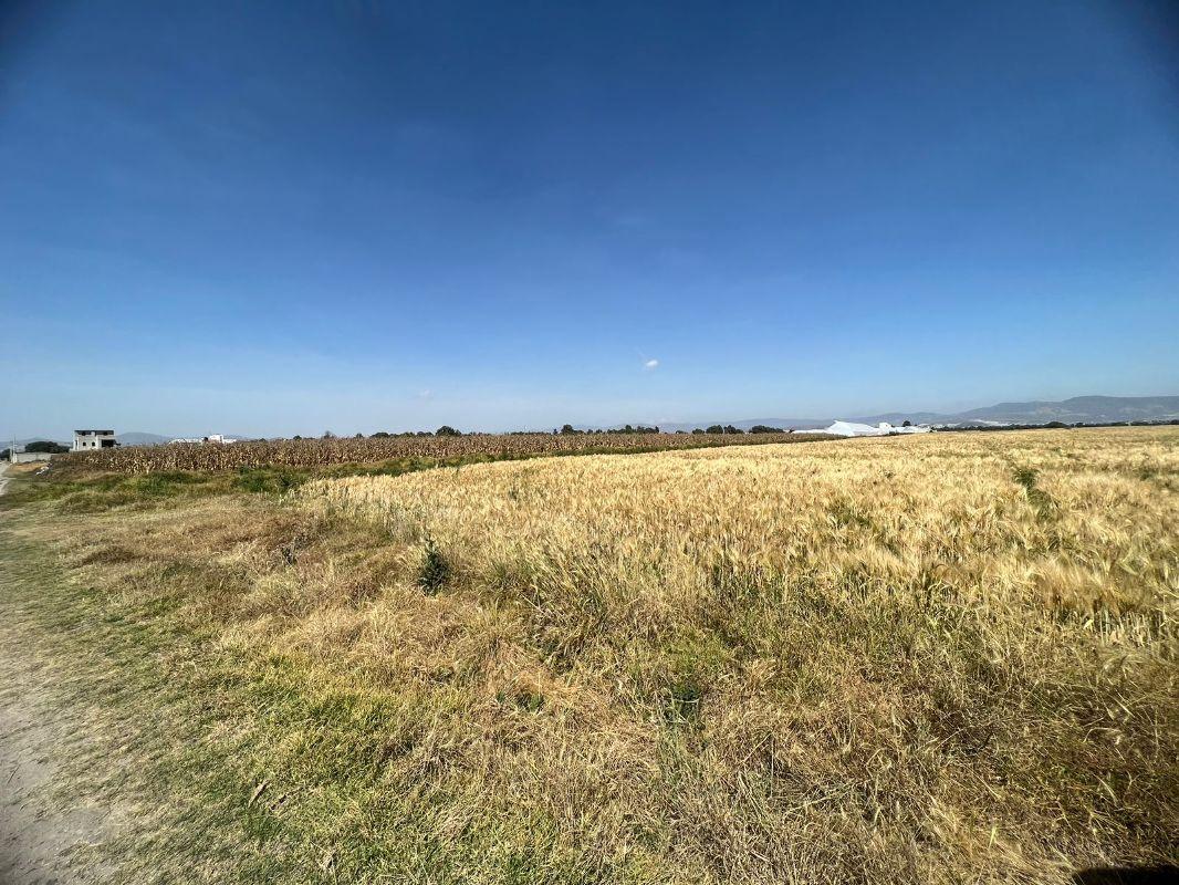 EJIDO PACHUQUILLA, Mineral de la Reforma, Hidalgo, 42180, Mexico, 1 Bedroom Bedrooms, ,Residential,For Sale,EJIDO PACHUQUILLA,1442593