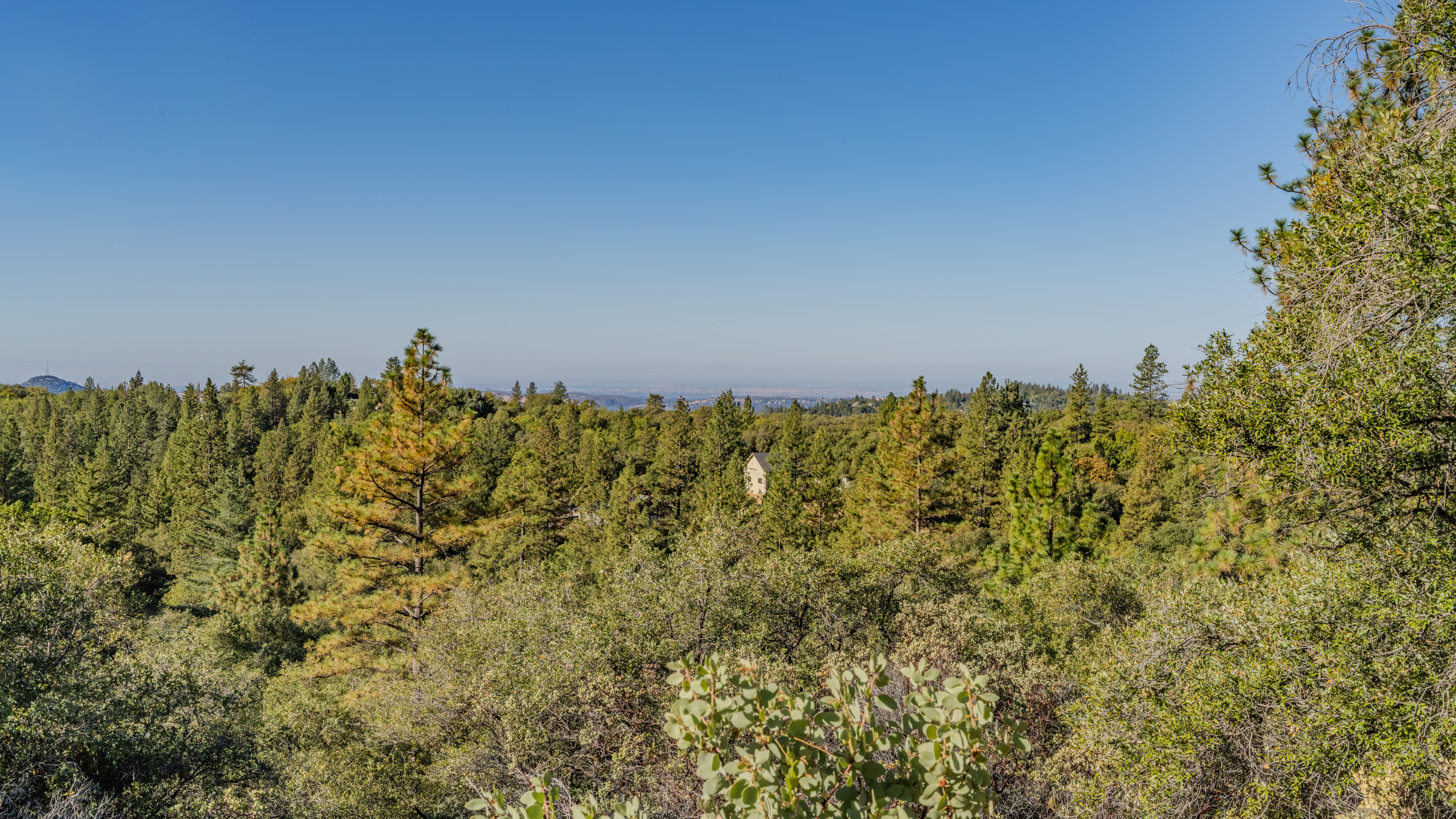  Single Story Living with Views + Privacy - 物件實景