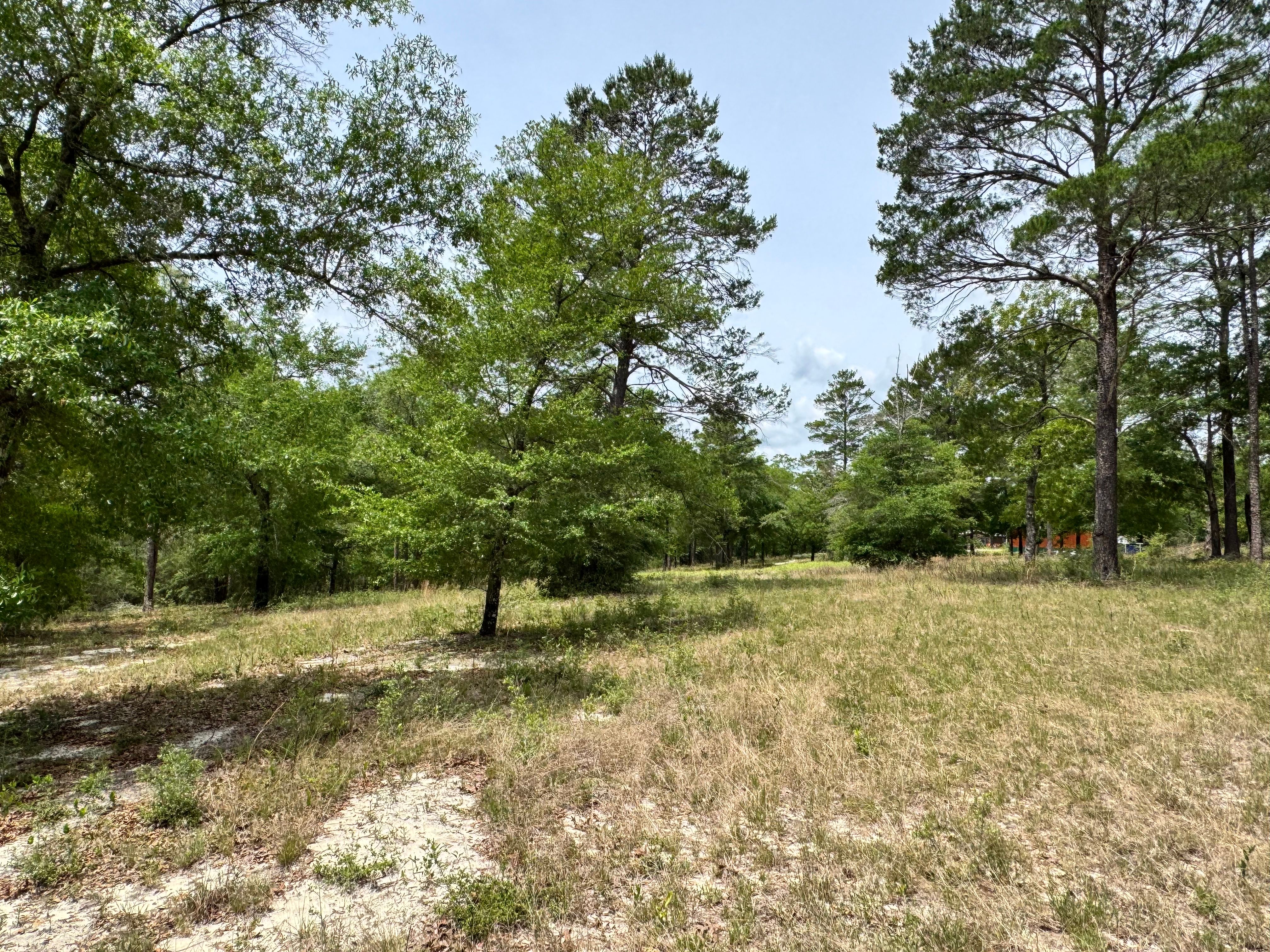  Private 7.55-Acre Property with Existing Infrastructure - 物件實景