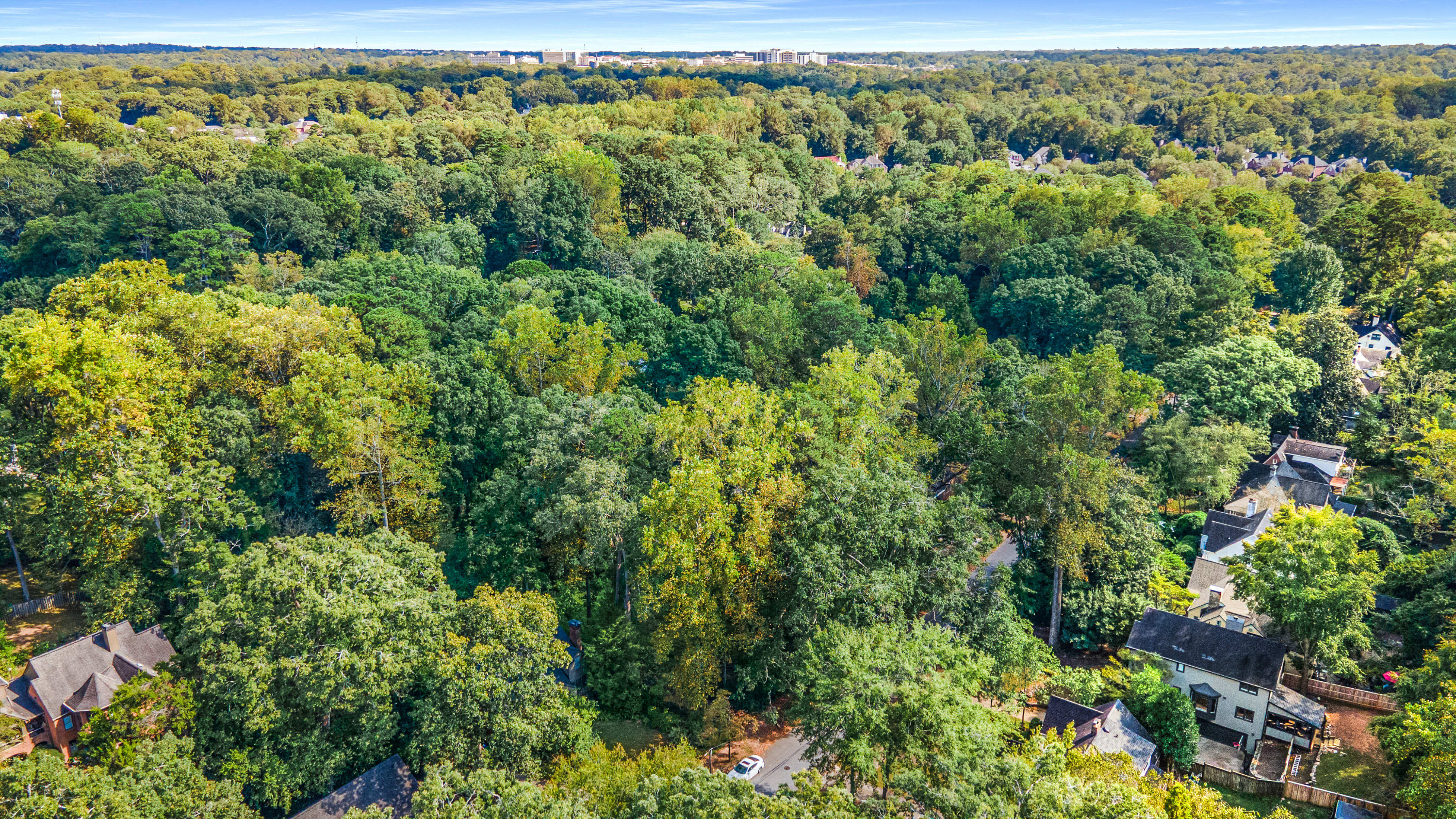  Three Contiguous Lots for New Construction in Historic Druid Hills - 物件實景