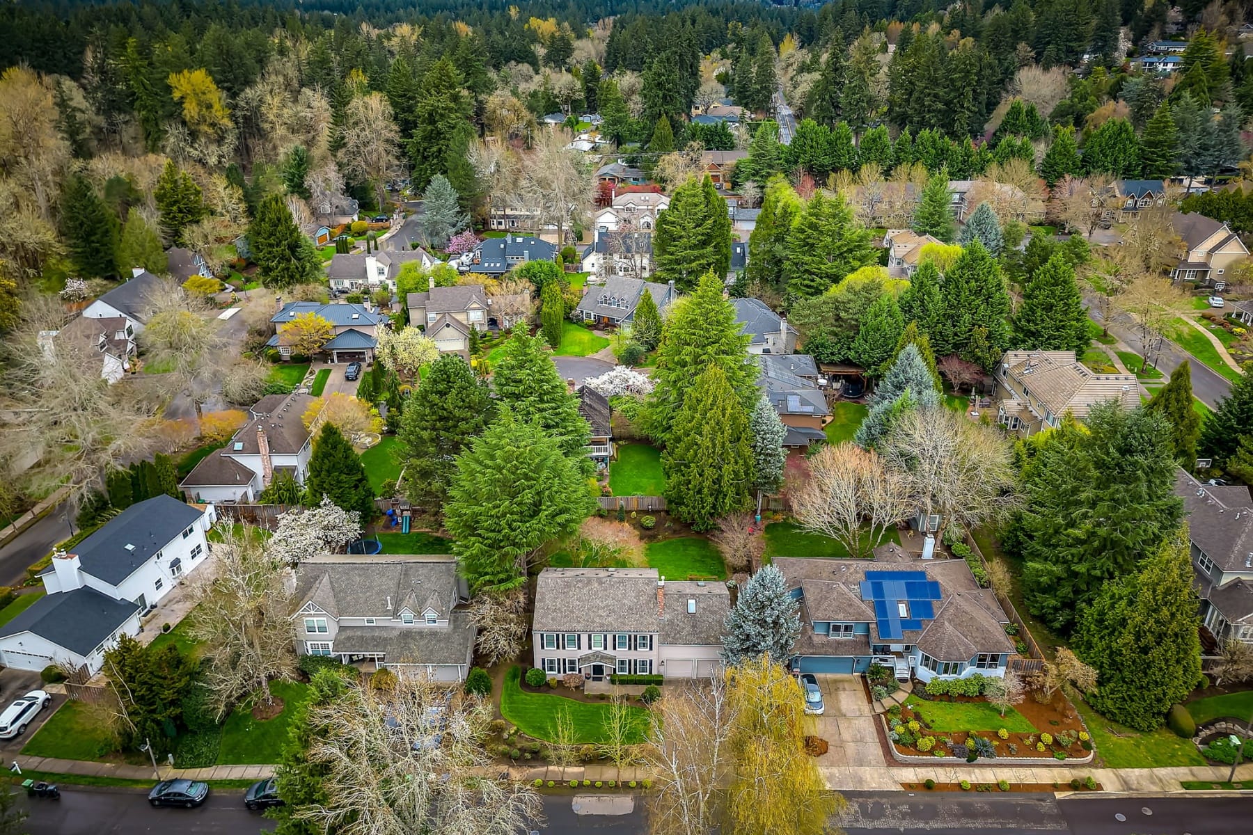  4055 TROUT WAY Lake Oswego, OR 97034 - 物件實景