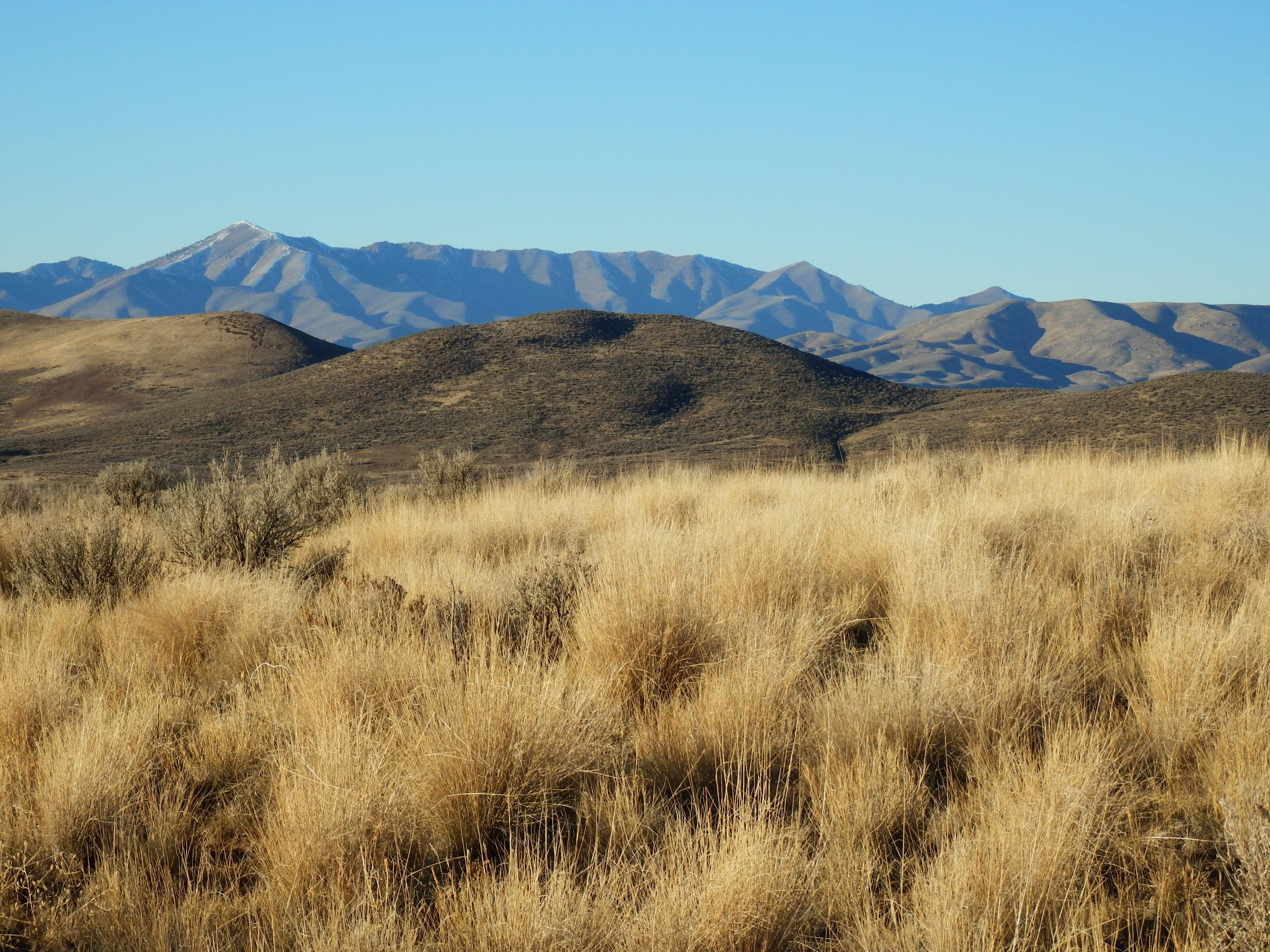 Blaine County, Idaho, 83313, United States, ,Land,For Sale,1784823