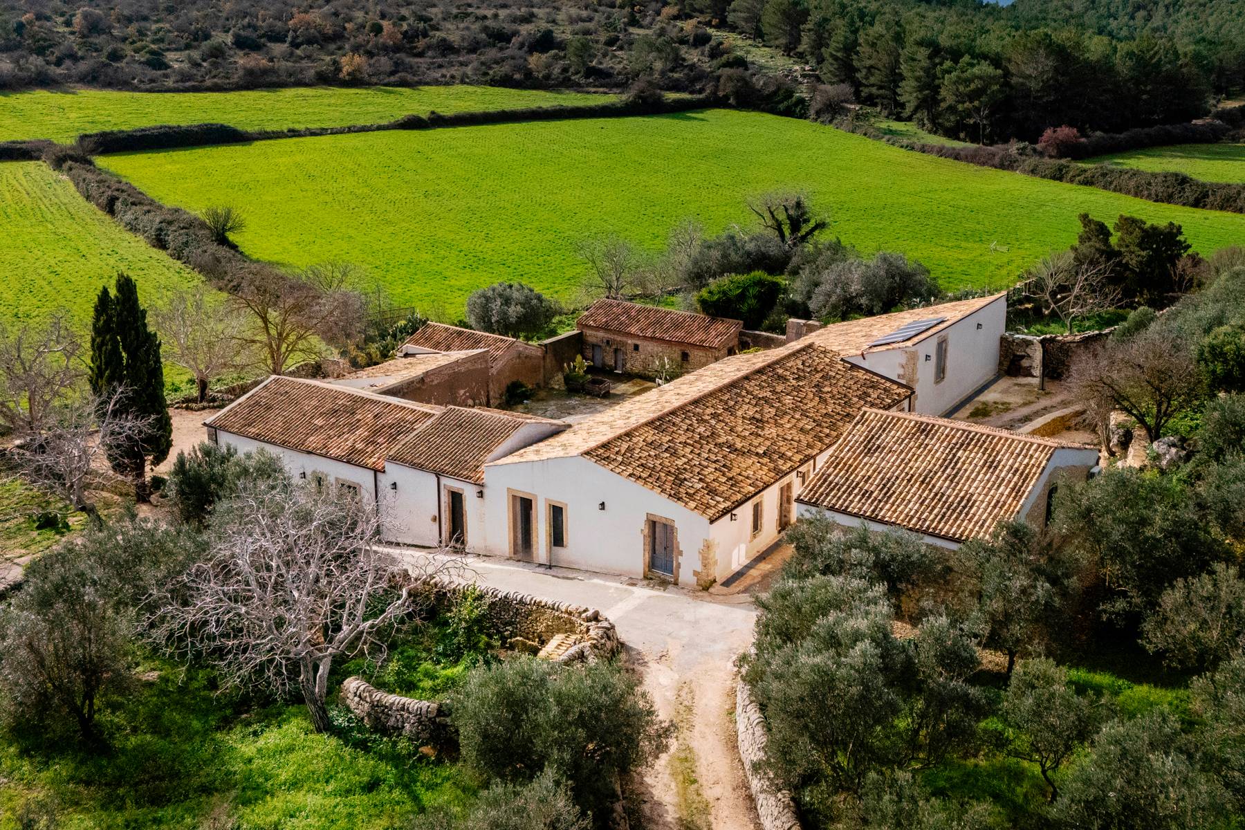  Prestigious farmhouse nestled in the countryside of Noto - 物件實景