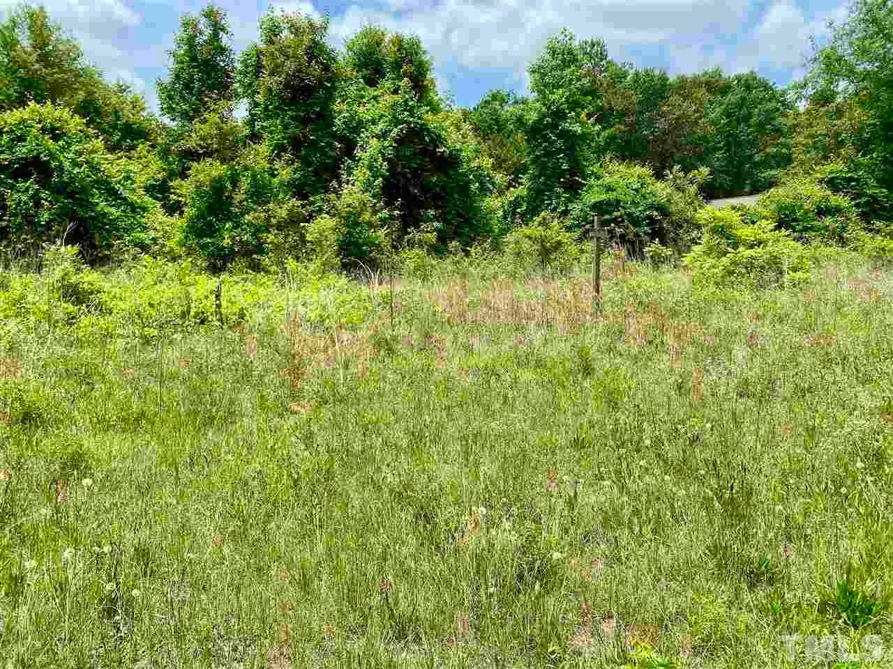 0 devils racetrack RD, Four Oaks, North Carolina, 27524, United States, ,Land,For Sale,0 devils racetrack RD,1432229
