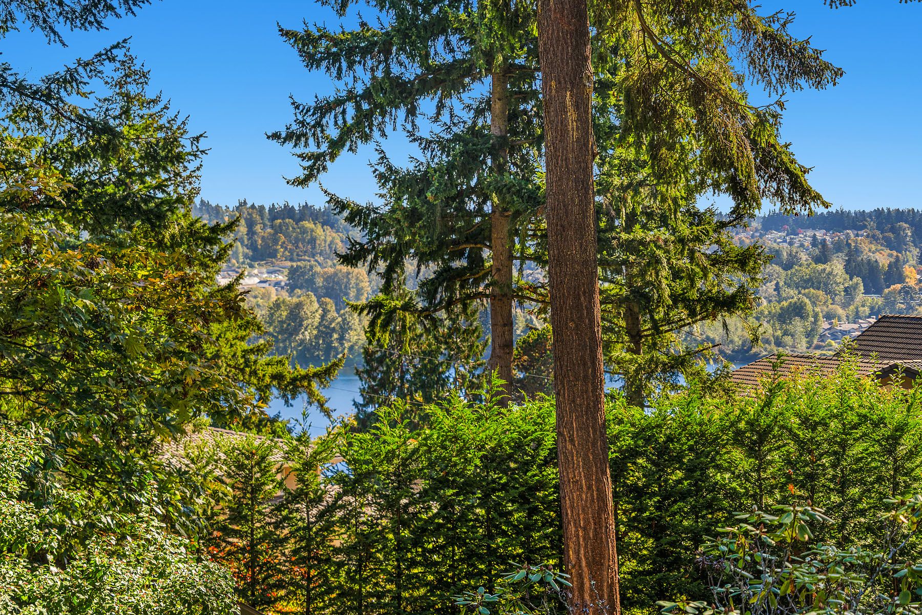  7070 94th Avenue Southeast, Mercer Island, WA 98040 - 物件實景