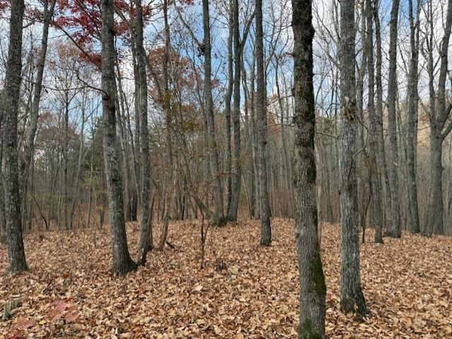 Talking Rock, Georgia, 30175, United States, ,Land,For Sale,1995157