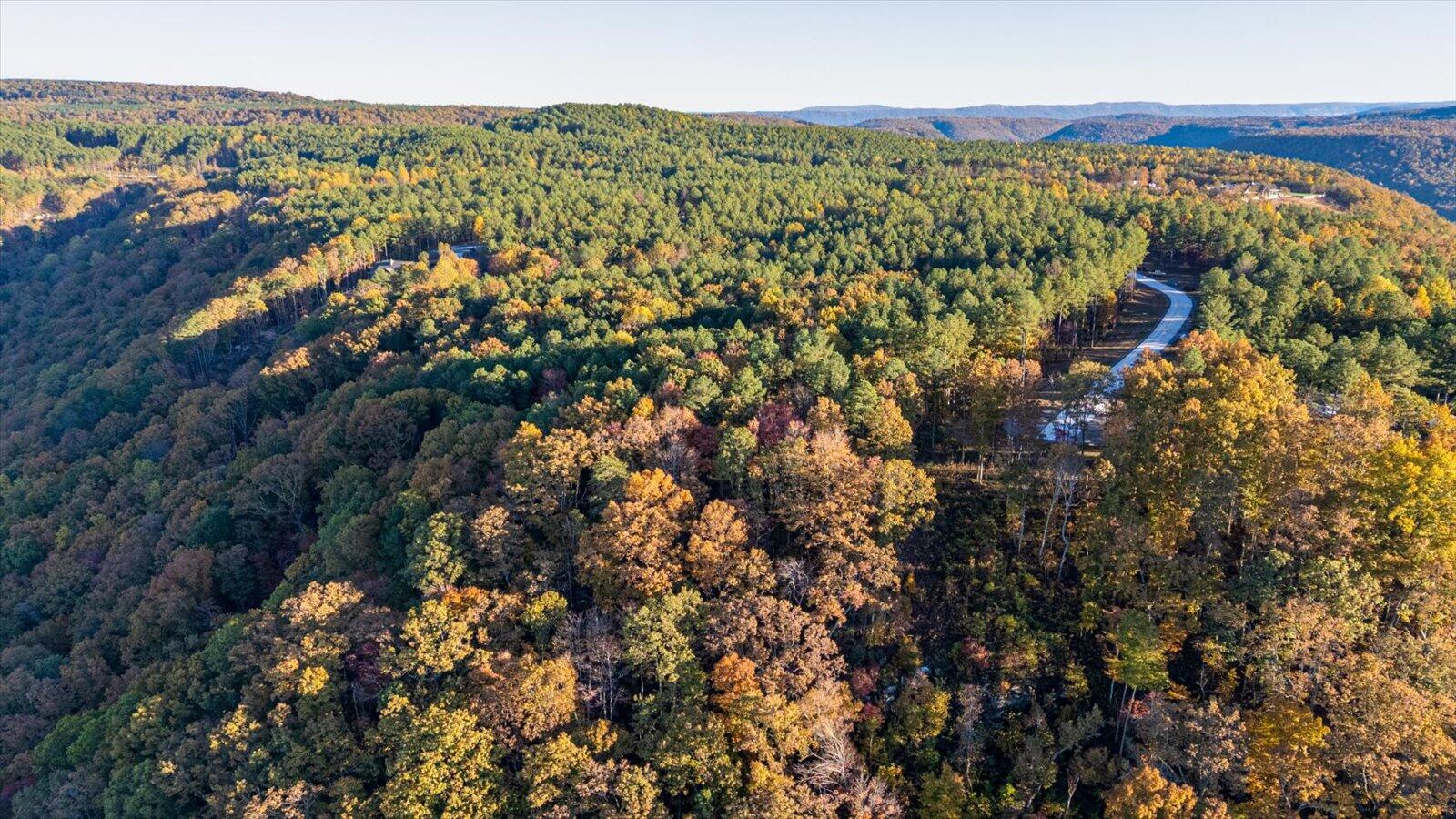 Guild, Tennessee, 37340, United States, ,Land,For Sale,1986106