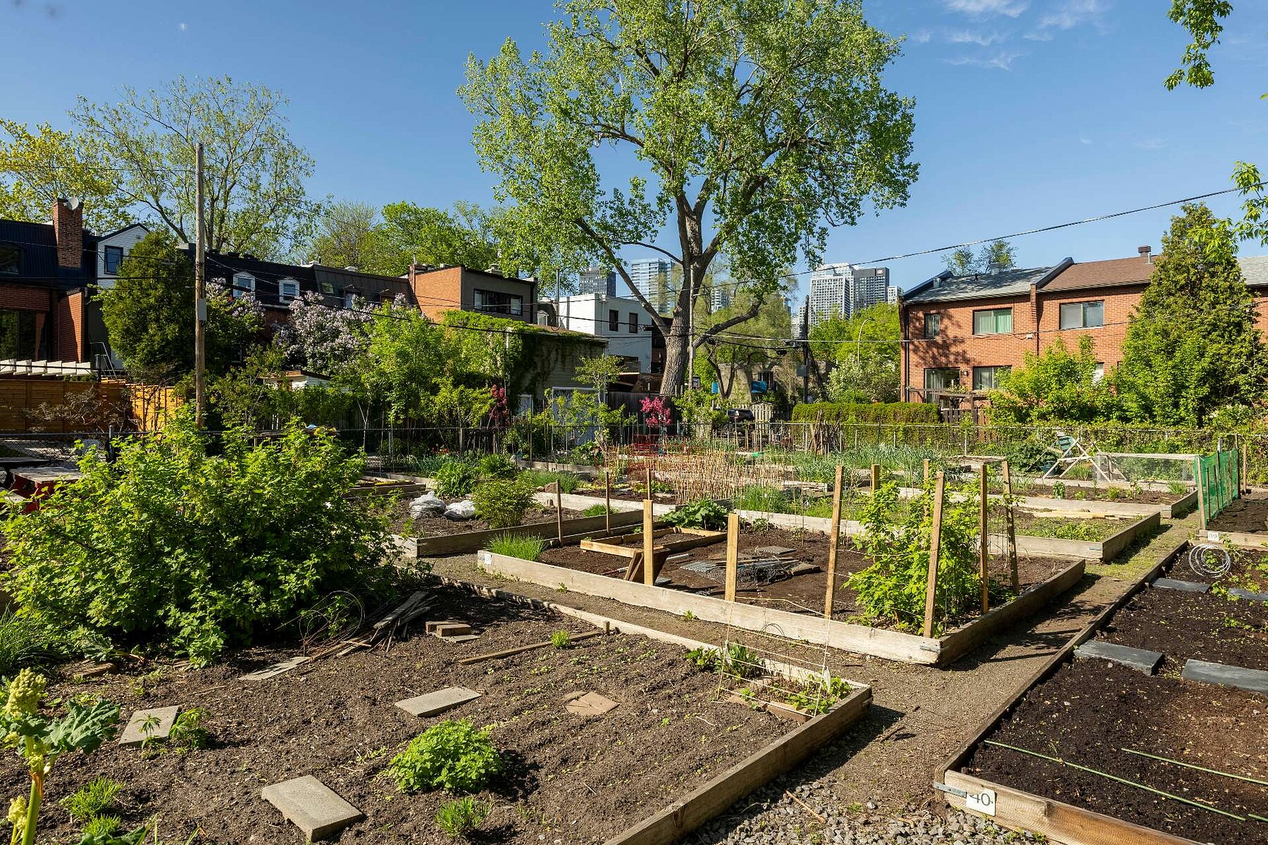  Le Sud-Ouest, Montréal - 物件實景