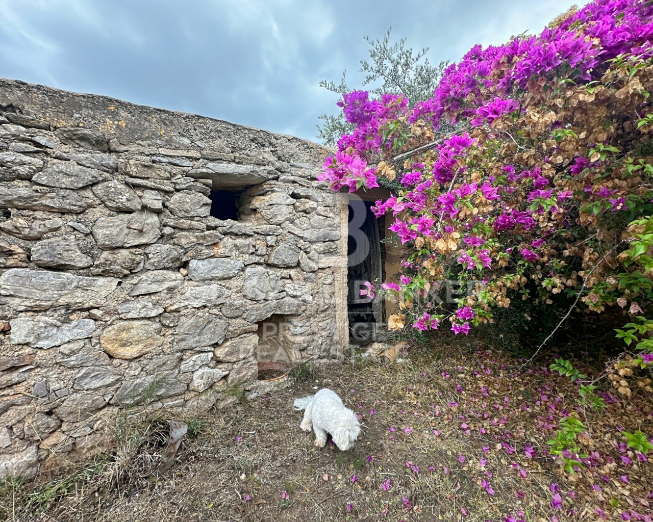 Mallorca, Art?, Art? Mallorca, Art?, Art? Mallorca, Artà, Balearic Islands, 07570, ES, 5 Bedrooms Bedrooms, ,2 BathroomsBathrooms,Residential,For Sale,Mallorca, Art?, Art? Mallorca, Art?, Art? Mallorca,1623997
