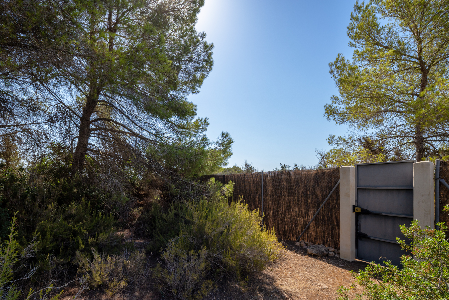  Country house to renovate in Formentera - 物件實景