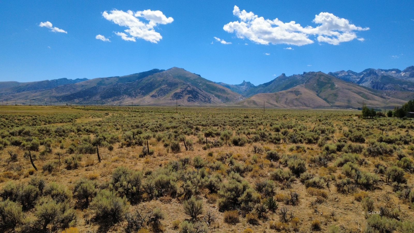 Lamoille, Nevada, 89828, United States, ,Land,For Sale,1911712