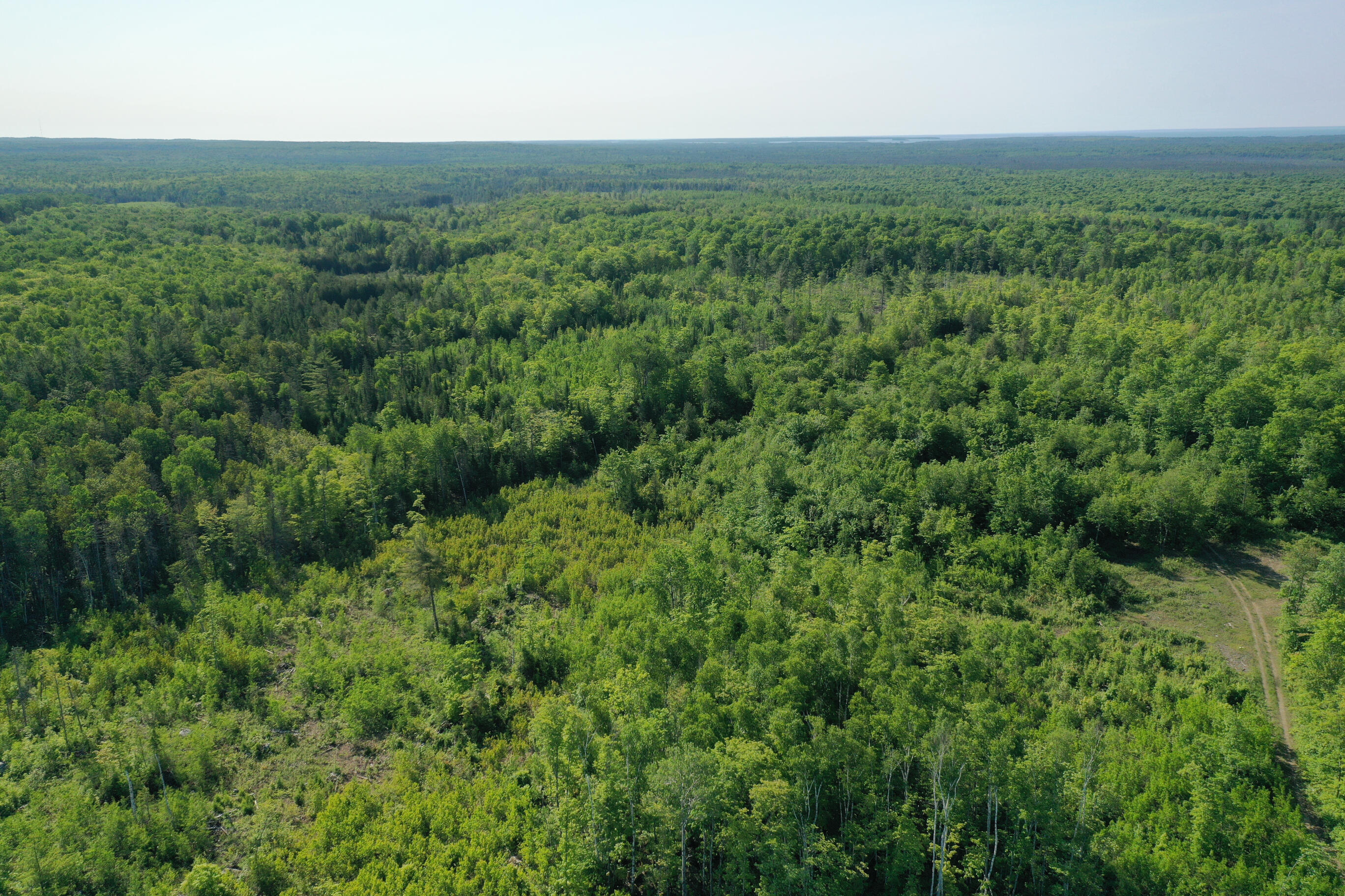 3625 E Simmons Rd RD, Hessel, Michigan, 49745, United States, ,Land,For Sale,3625 E Simmons Rd RD,1619252