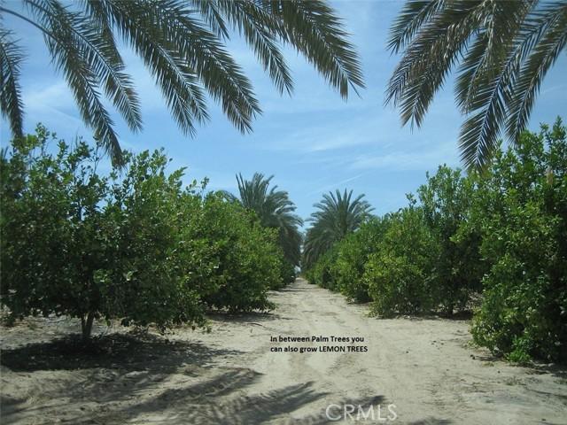 Desert Center, California, 92239, United States, ,Land,For Sale,1976744