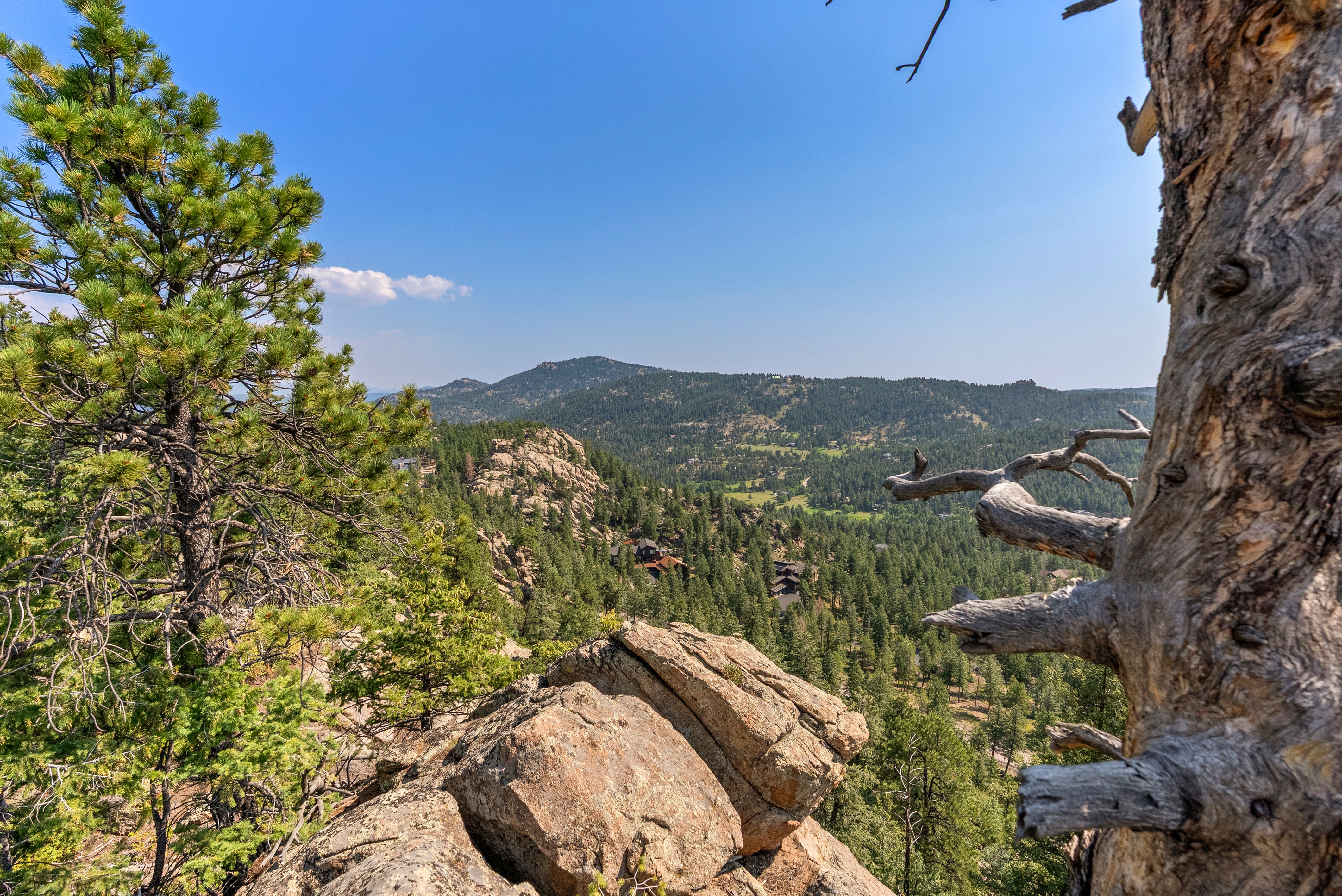  Acreage Available in Evergreen