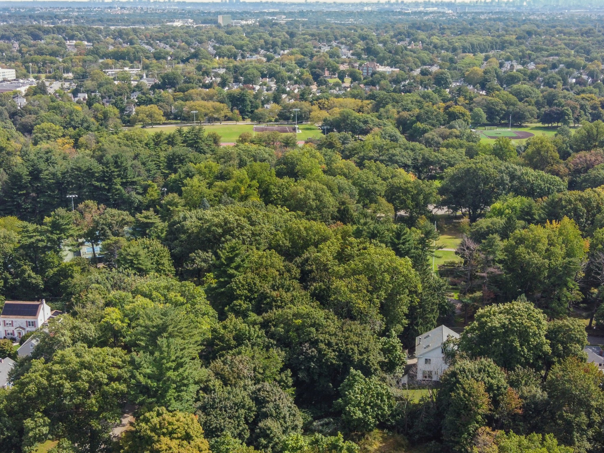  439 Grove Street, Montclair, NJ 07043 - 物件實景