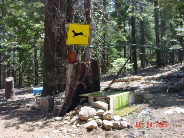 Clio, California, 96106, United States, ,Residential,For Sale,1932146