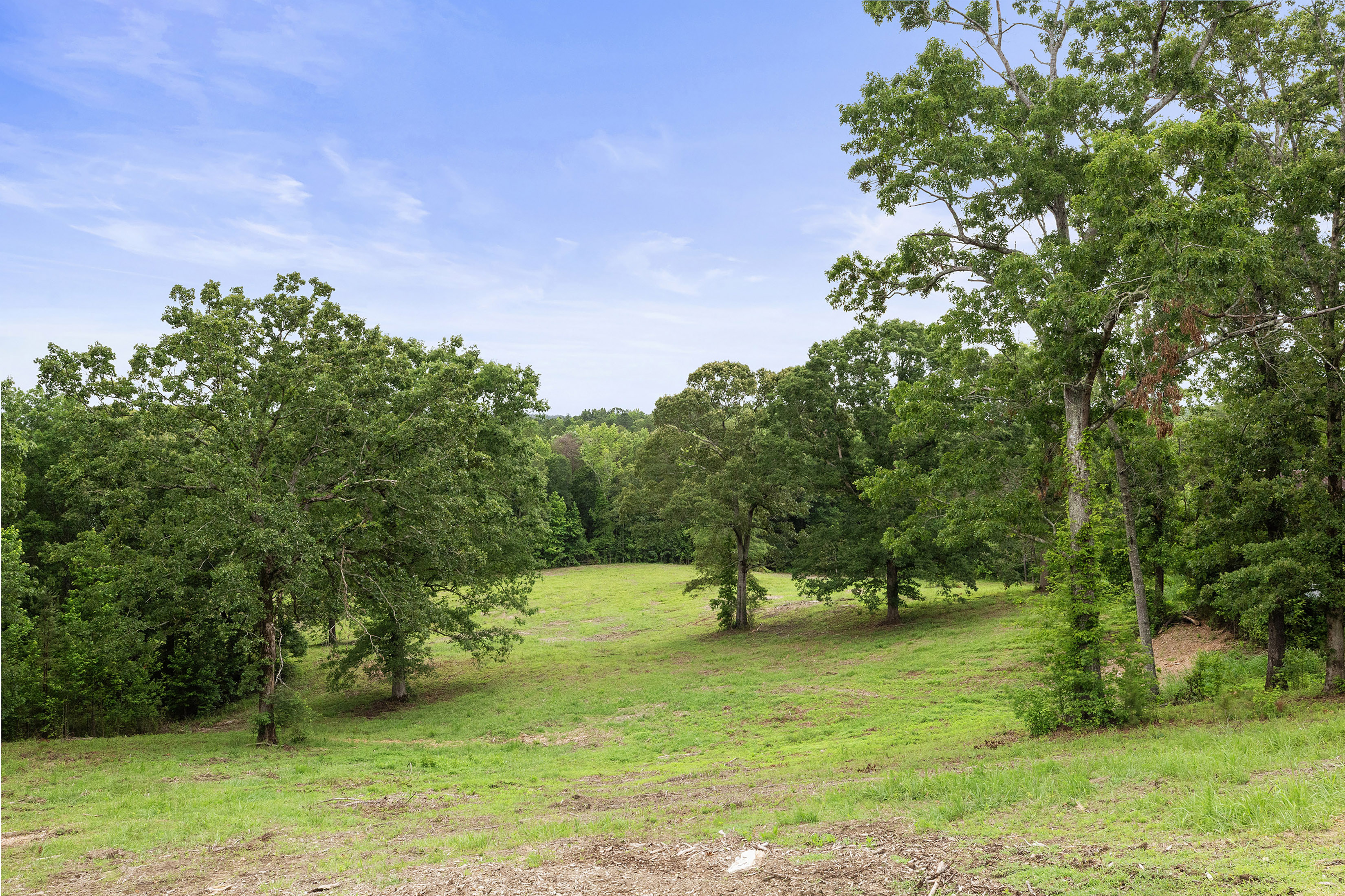  A Perfect Blend of Privacy and Natural Beauty in Newnan - 物件實景