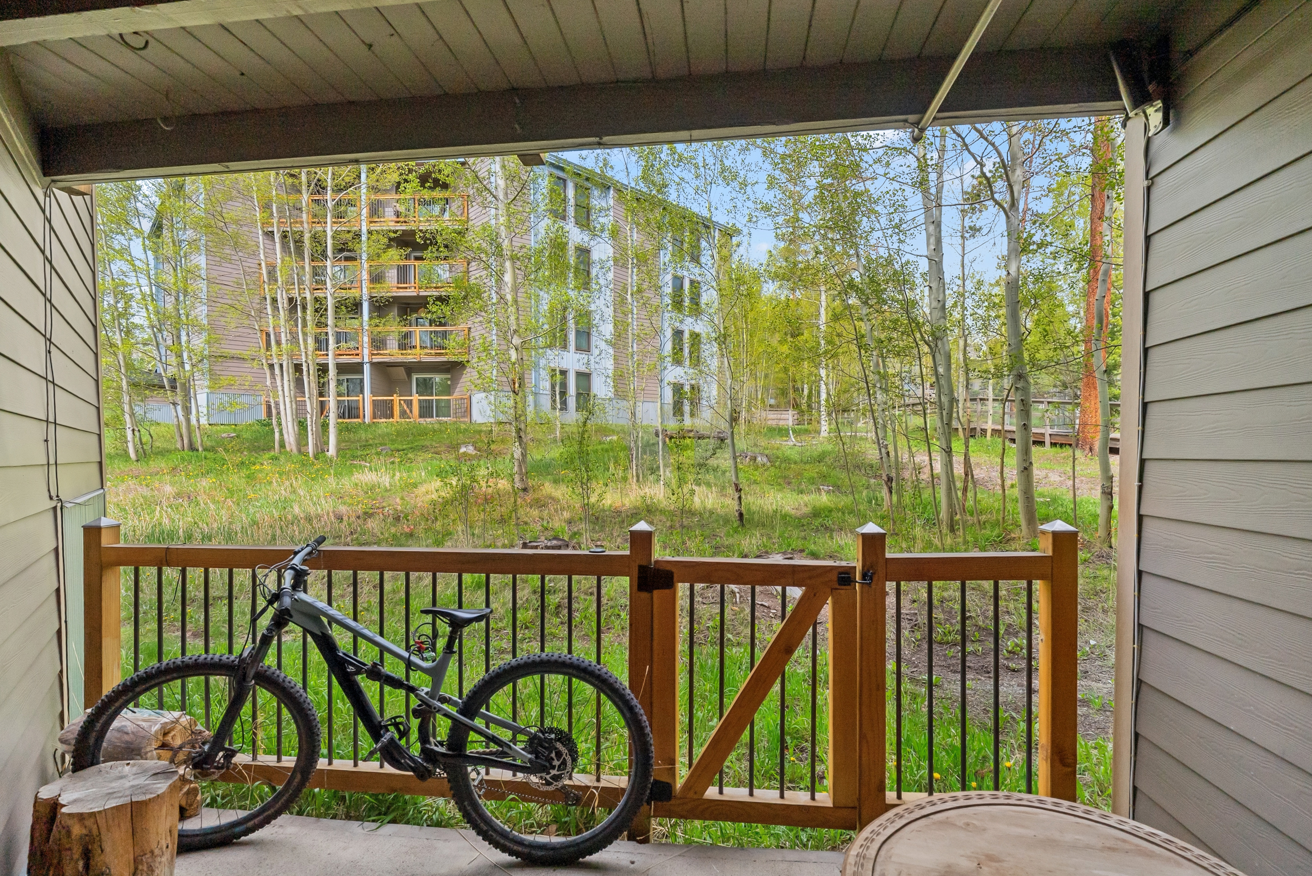  8100 Ryan Gulch Road, Wildernest, CO, 80498 - 物件實景