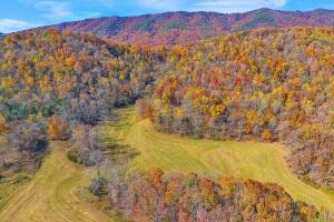 Fincastle, Virginia, 24090, United States, ,Residential,For Sale,1989448