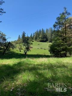 Willits, California, 95490, United States, 8 Bedrooms Bedrooms, ,4 BathroomsBathrooms,Residential,For Sale,1900763