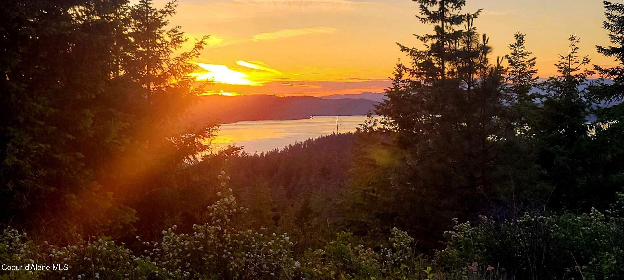 Harrison, Idaho, 83833, United States, 1 Bedroom Bedrooms, ,1 BathroomBathrooms,Residential,For Sale,1980772