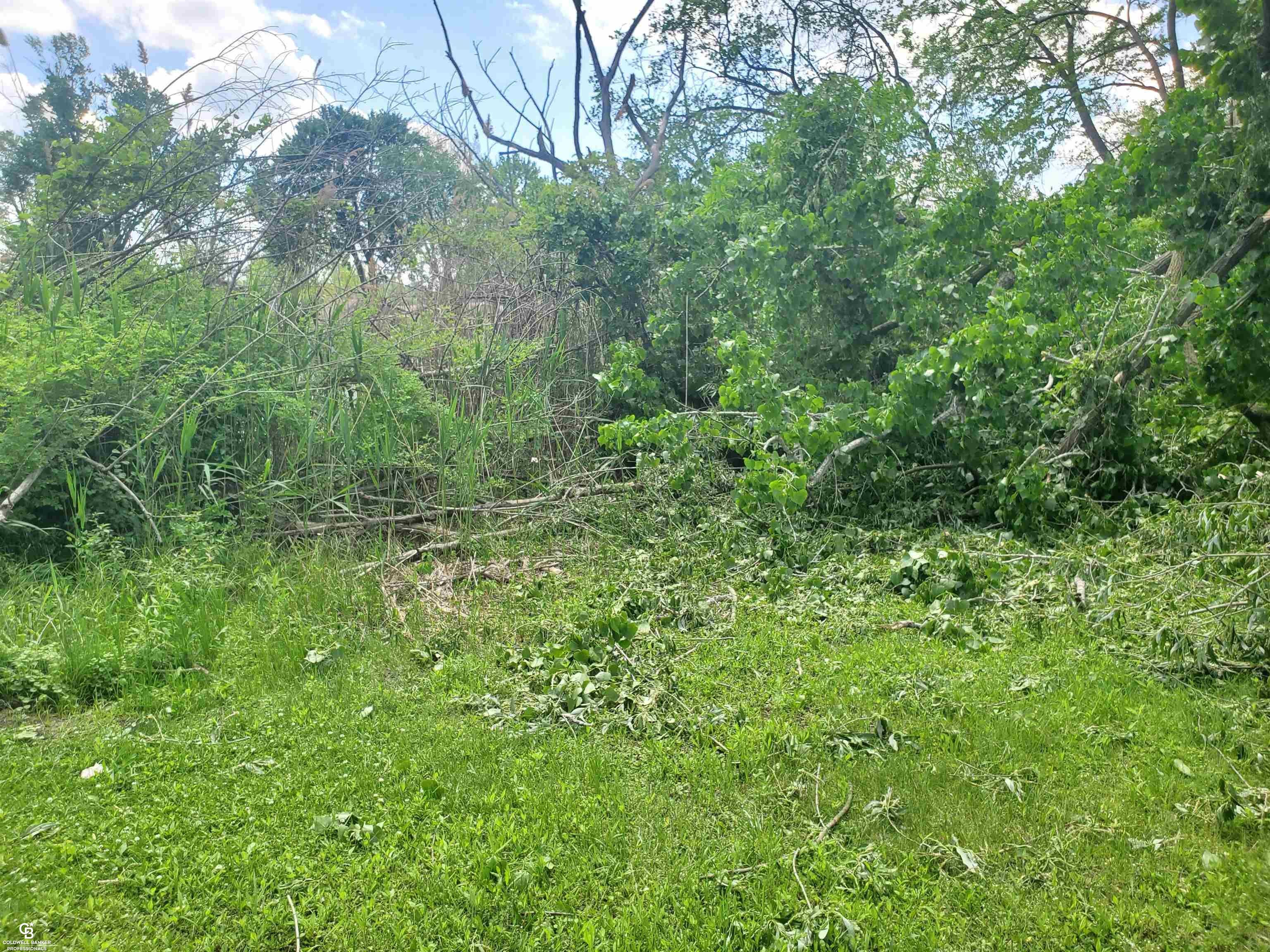 Harrison Twp, Michigan, 48045, United States, ,Land,For Sale,1840737