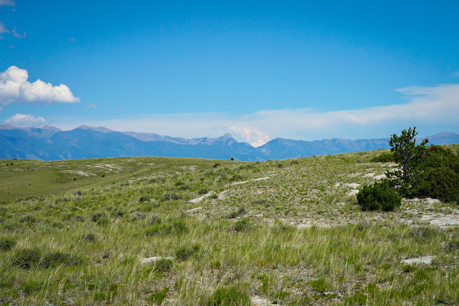 Lot 33 & 39 Gallatin River Ranch - 物件實景
