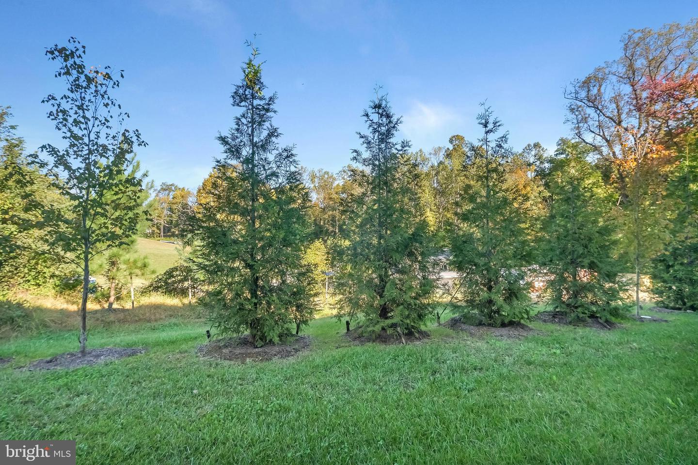 Bowie, Maryland, 20720, United States, 3 Bedrooms Bedrooms, ,4 BathroomsBathrooms,Residential,For Sale,1968655