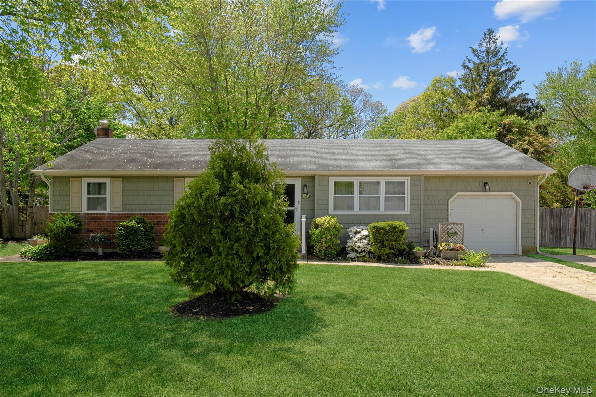  36 Marshall Drive, Selden, NY, 11784 - 物件實景