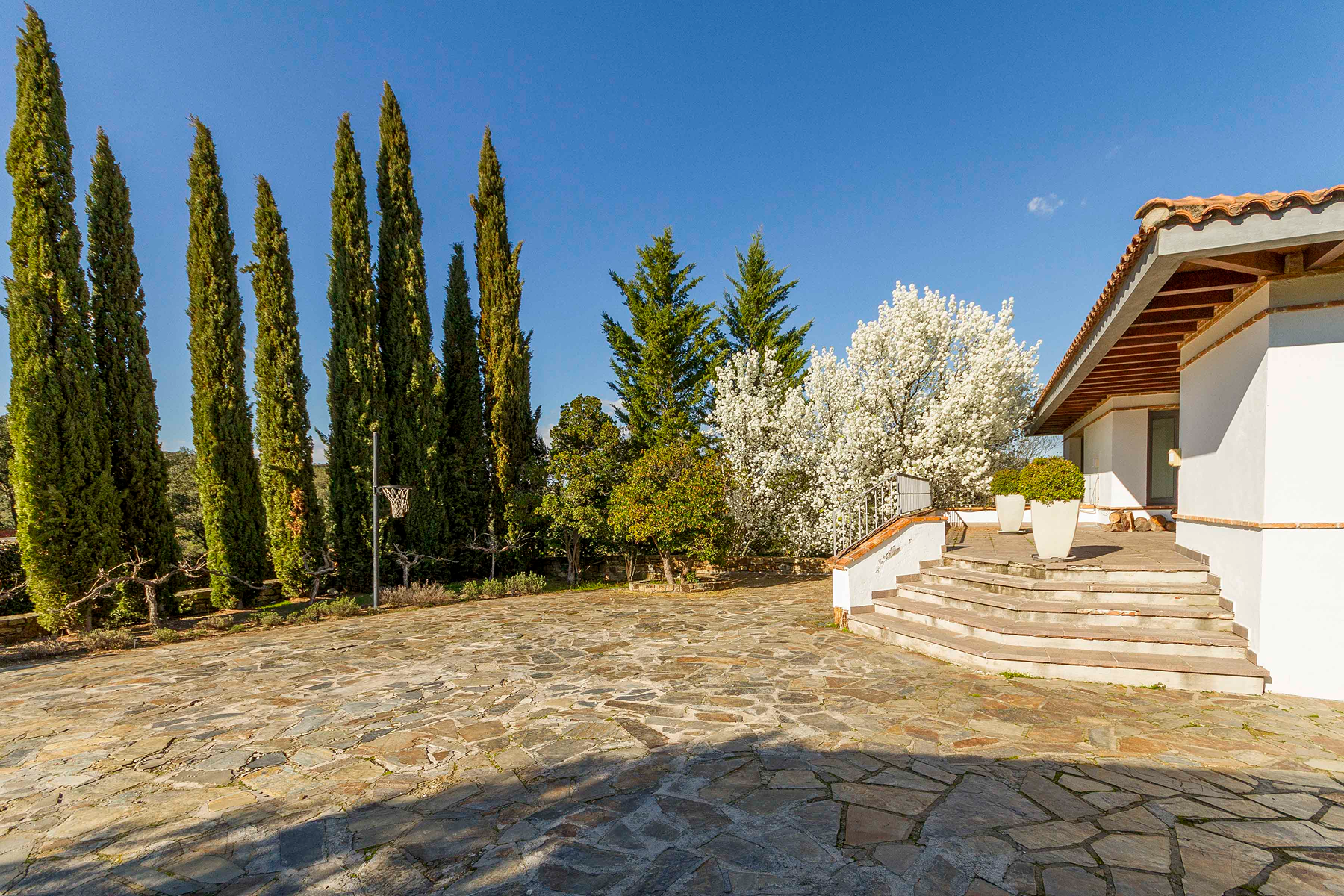  Spectacular detached villa in an excellent Ciudalcampo location - 物件實景