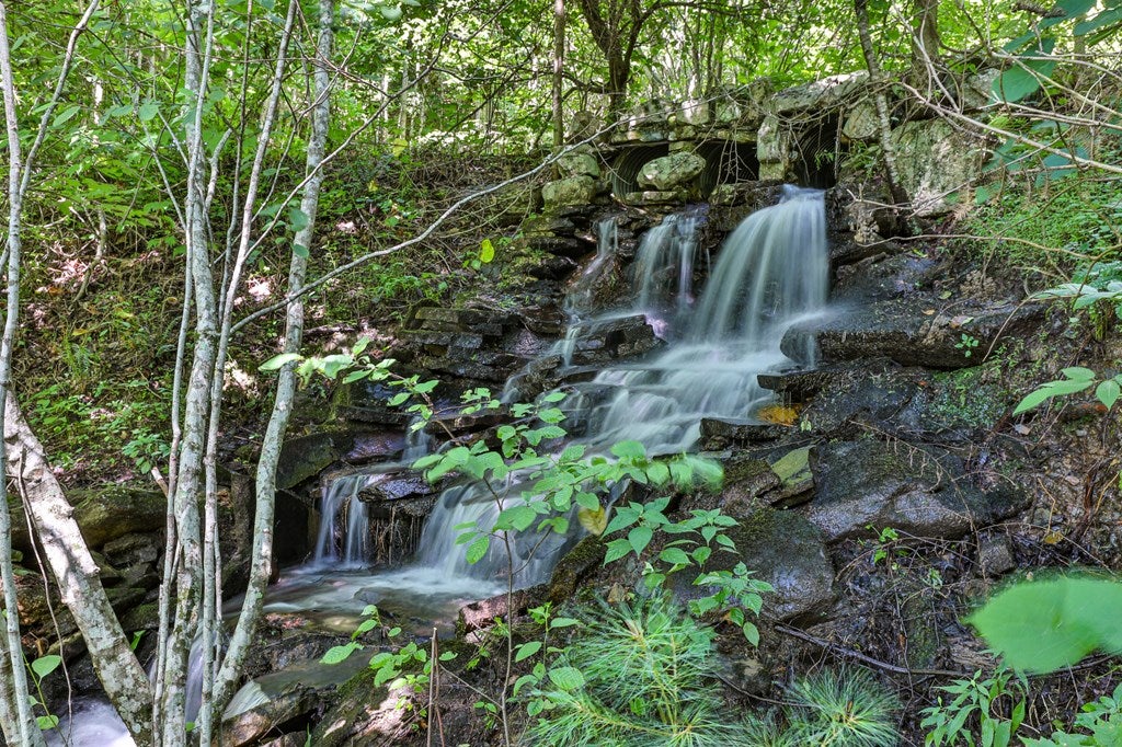 Cherry Log, Georgia, 30522, United States, ,Land,For Sale,1858995